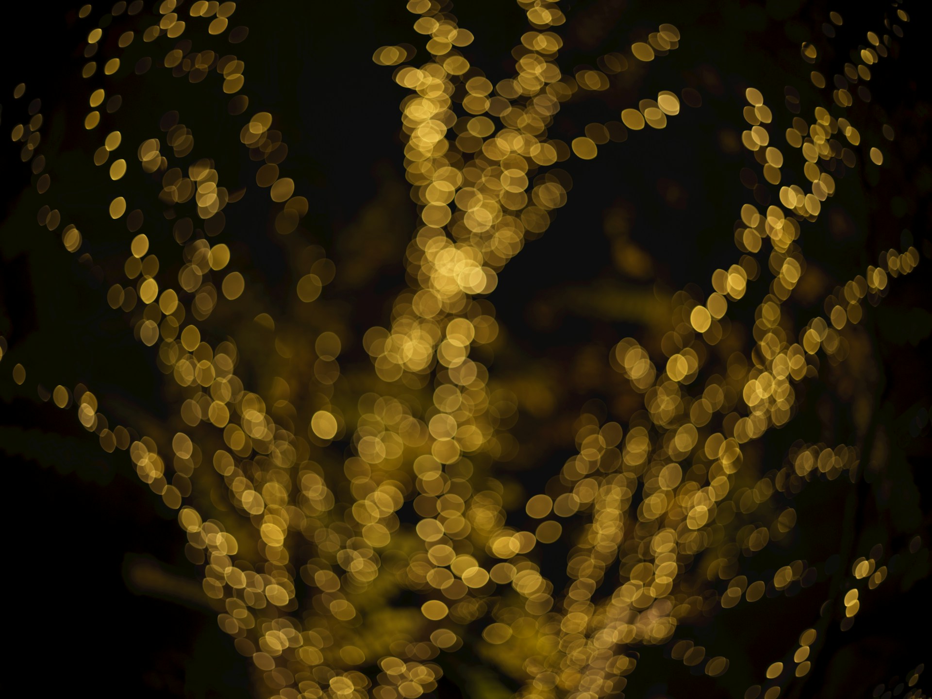 Bokeh lights on a dark background