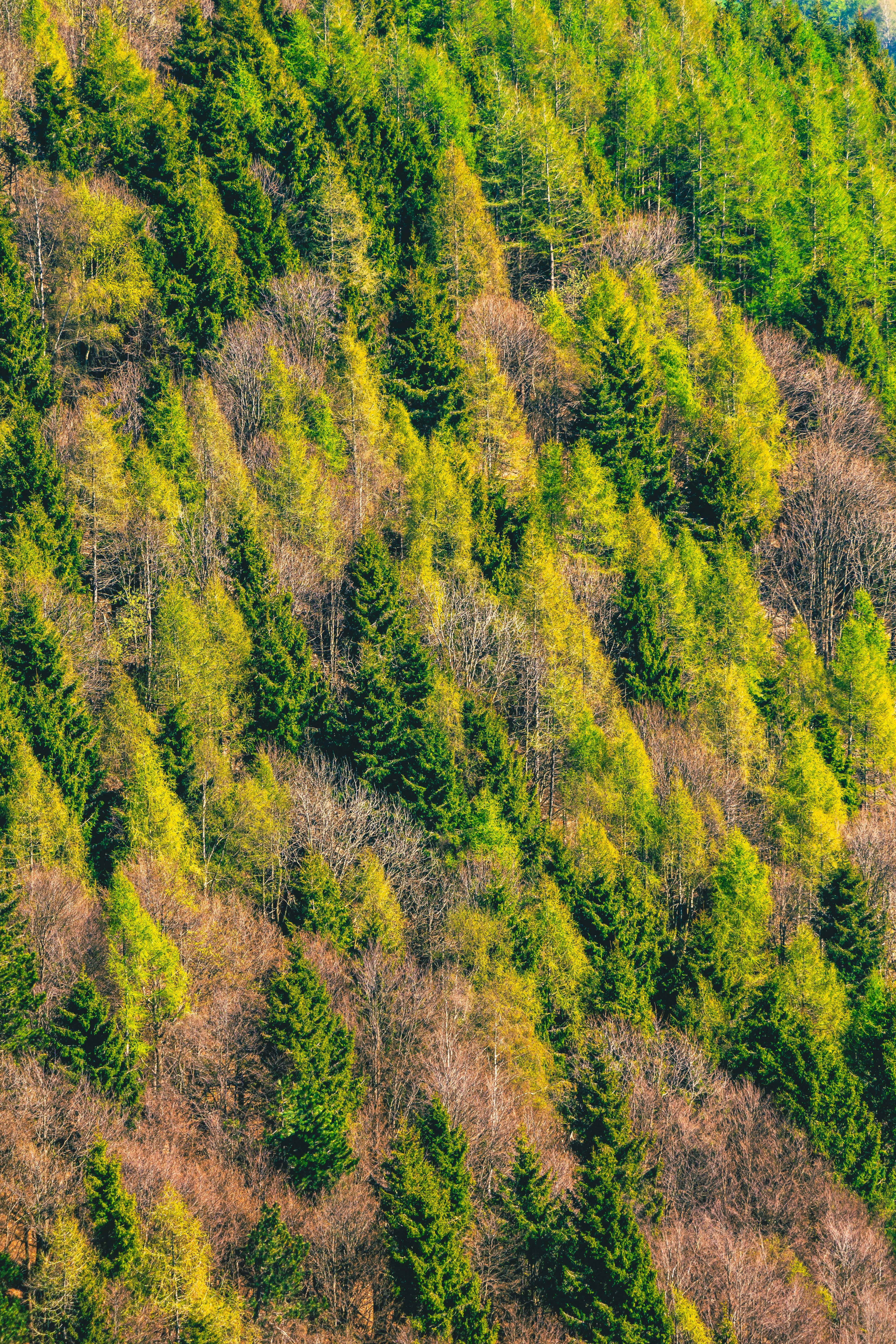 Photo by isaacmaffeis