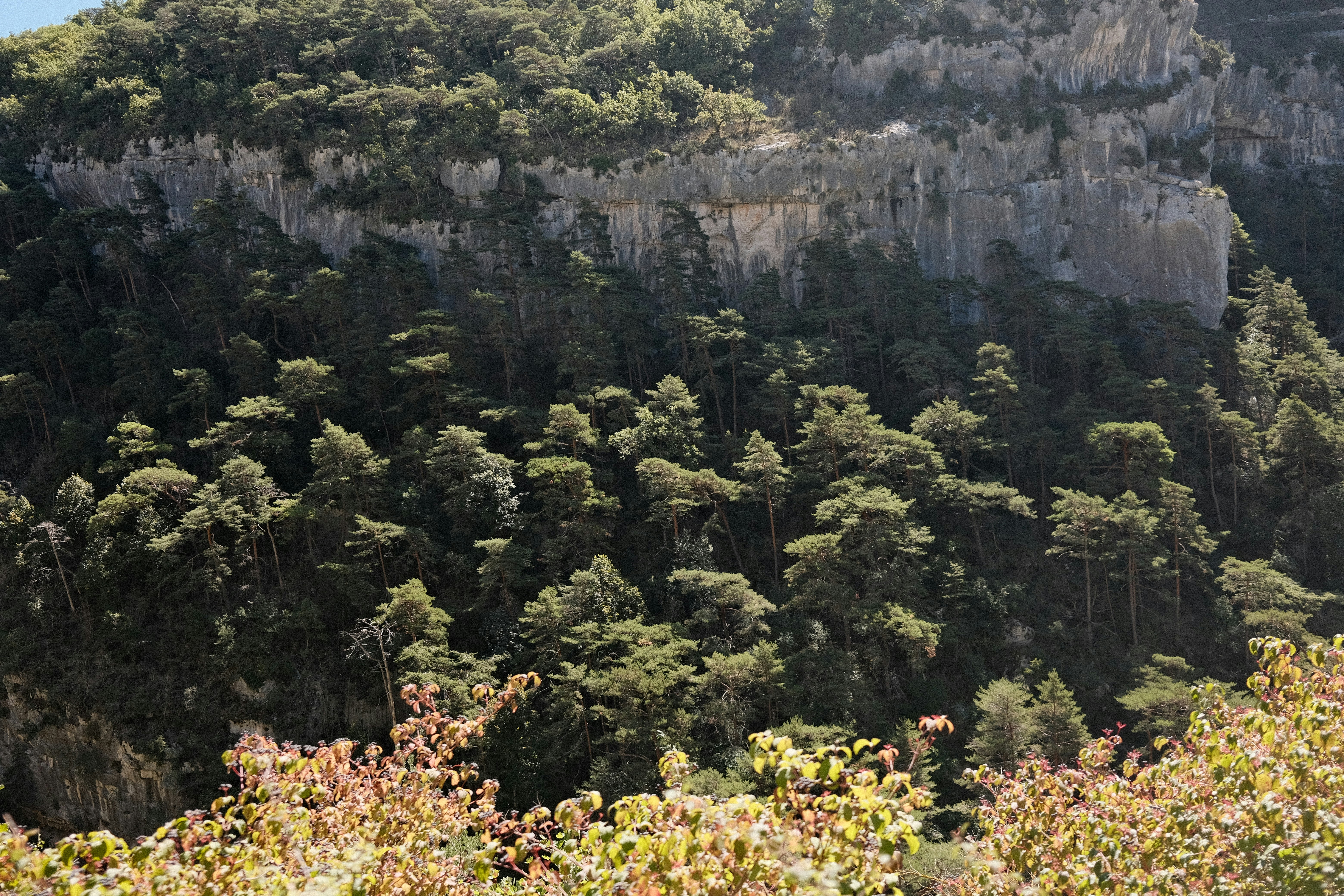 Photo by valentinlacoste