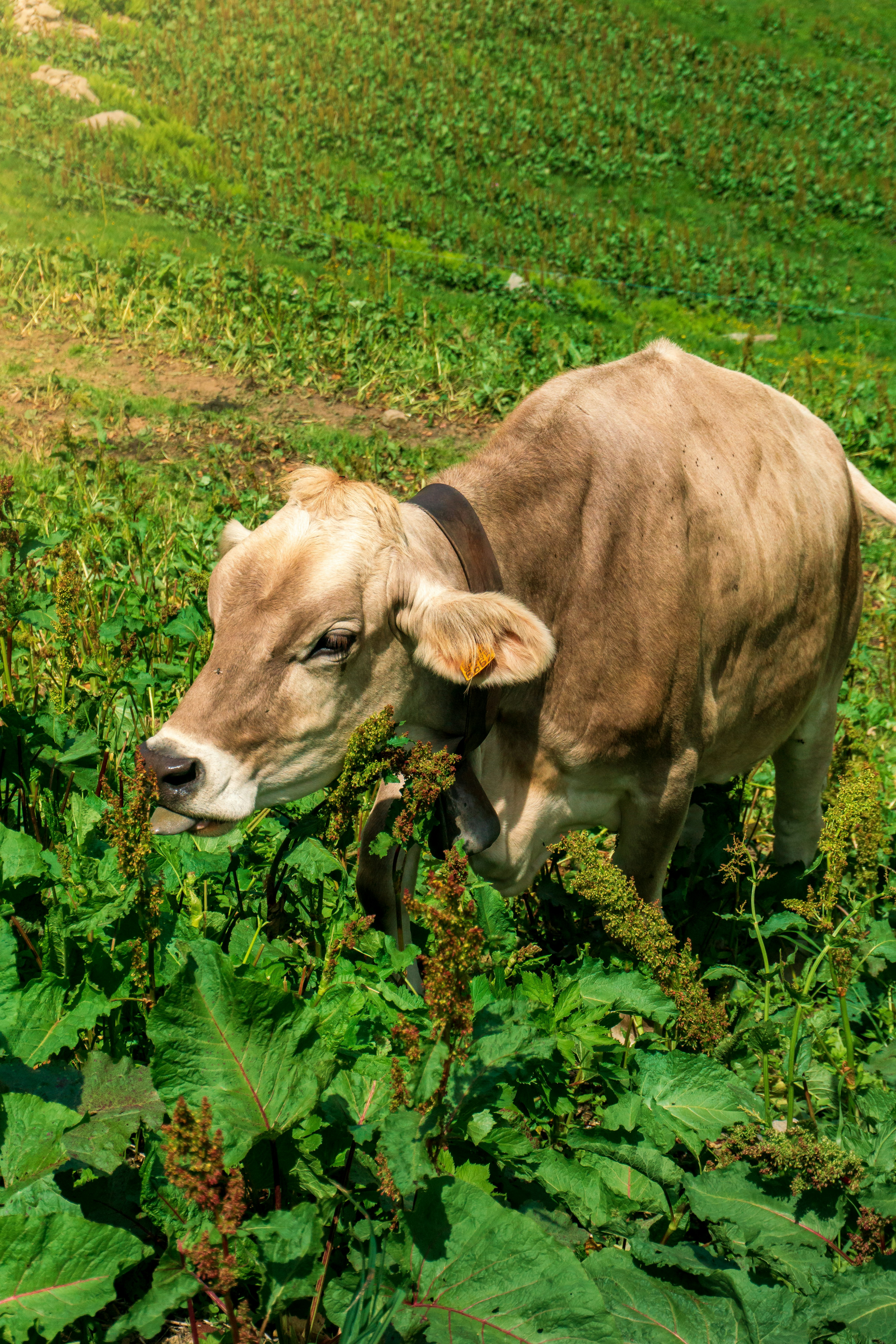 Photo by isaacmaffeis