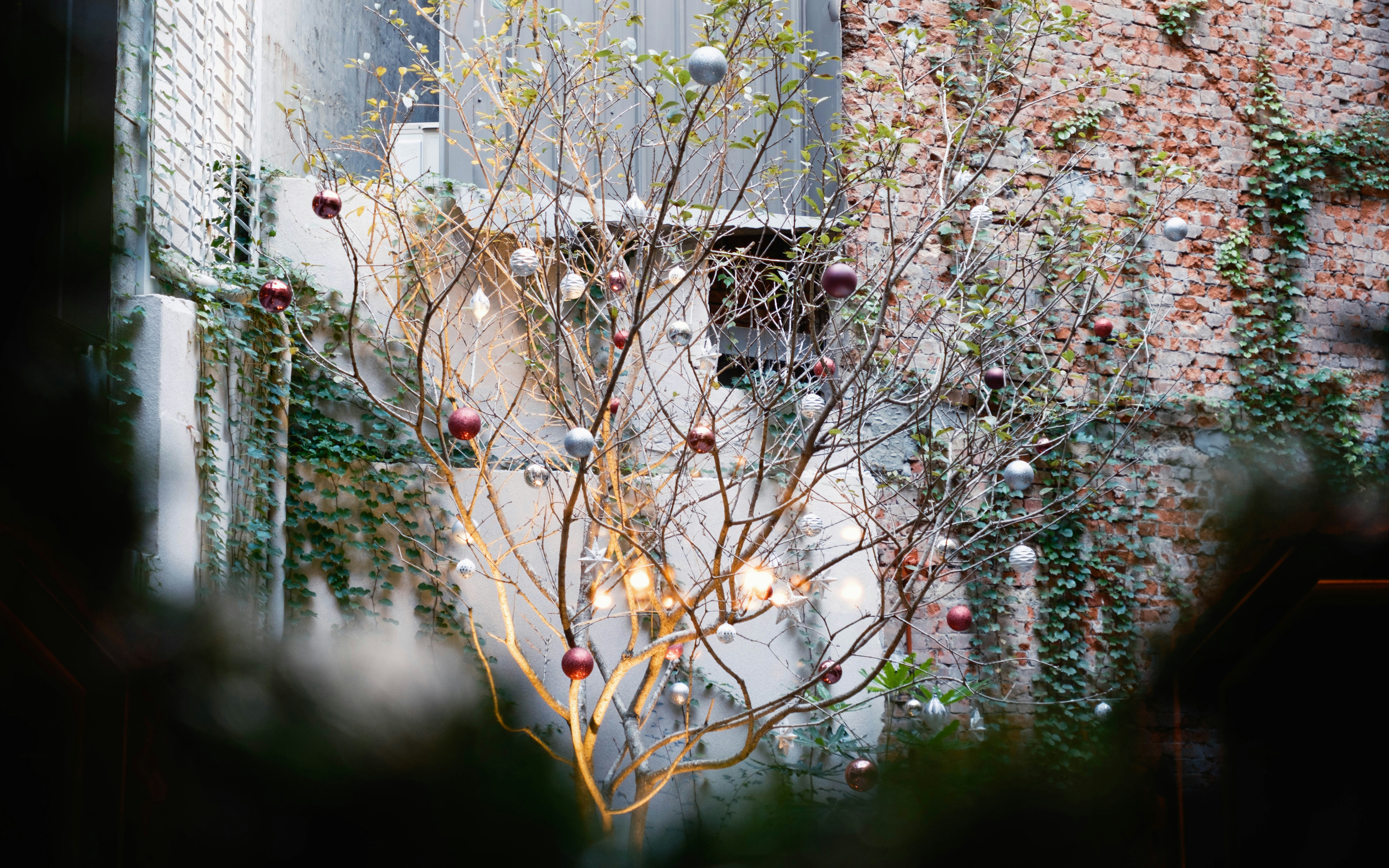 Bare branches adorned with festive ornaments