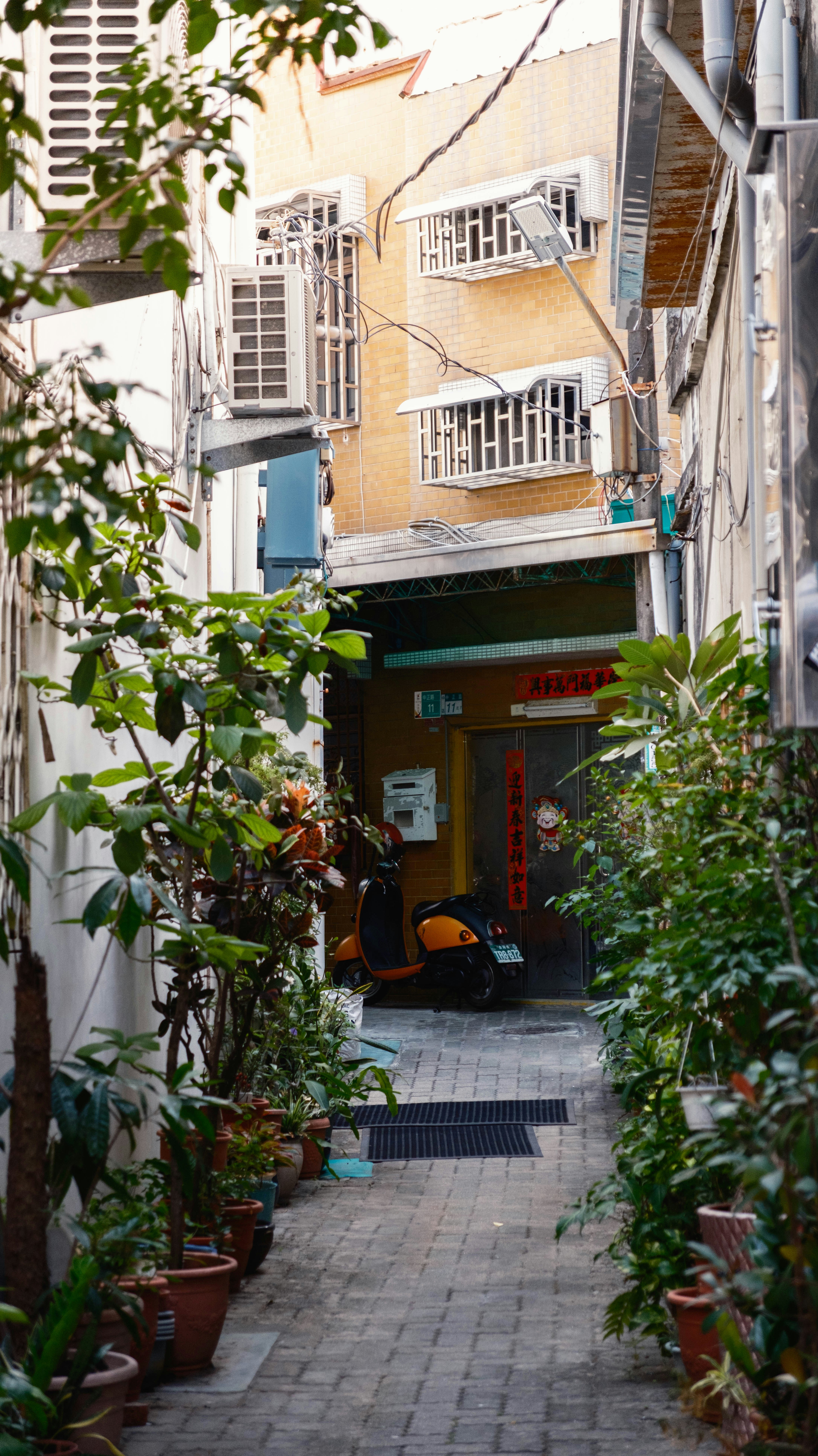 Photo by chenkuochen