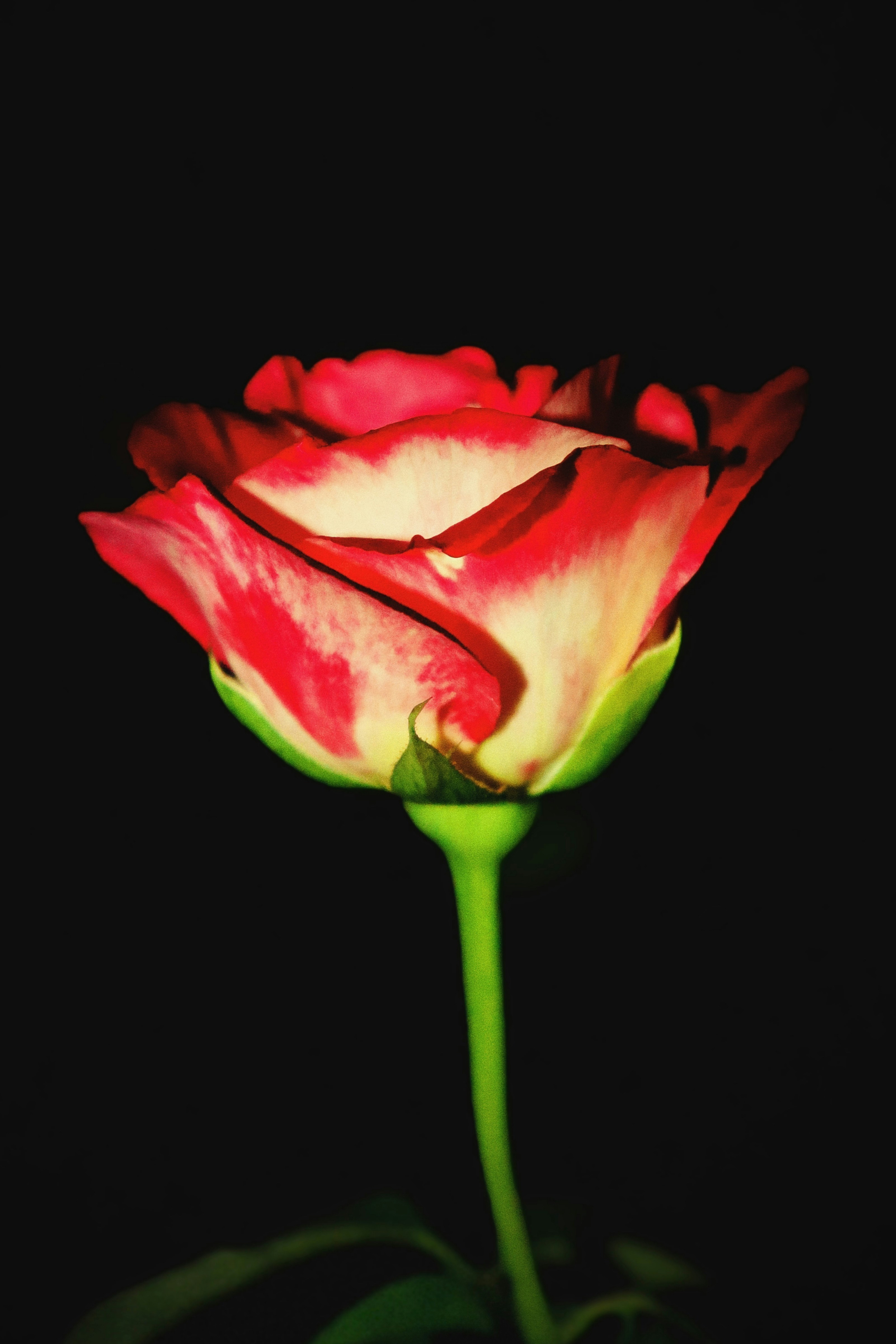 Photo by dpkvishwakarma04