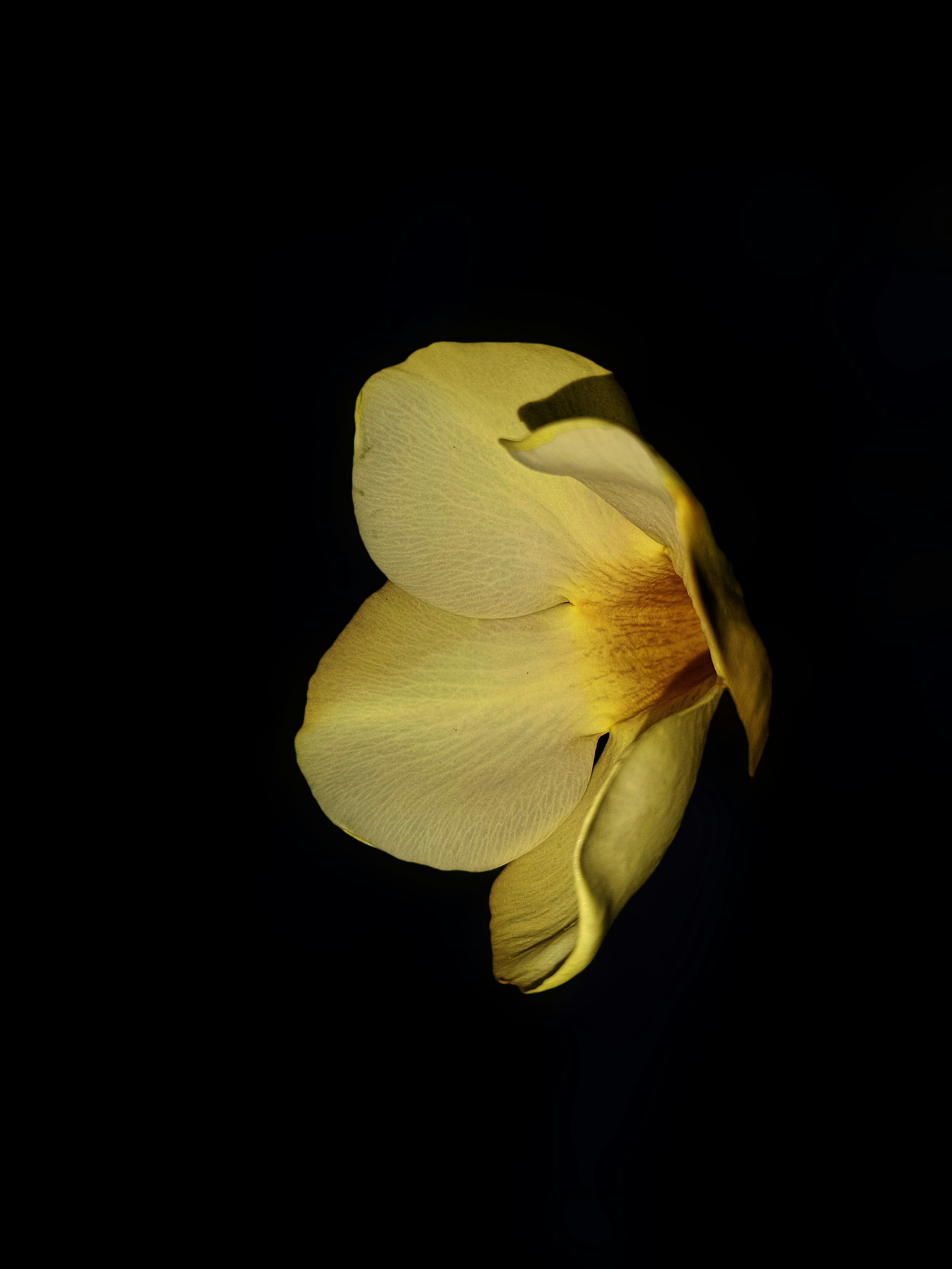 Photo by dpkvishwakarma04