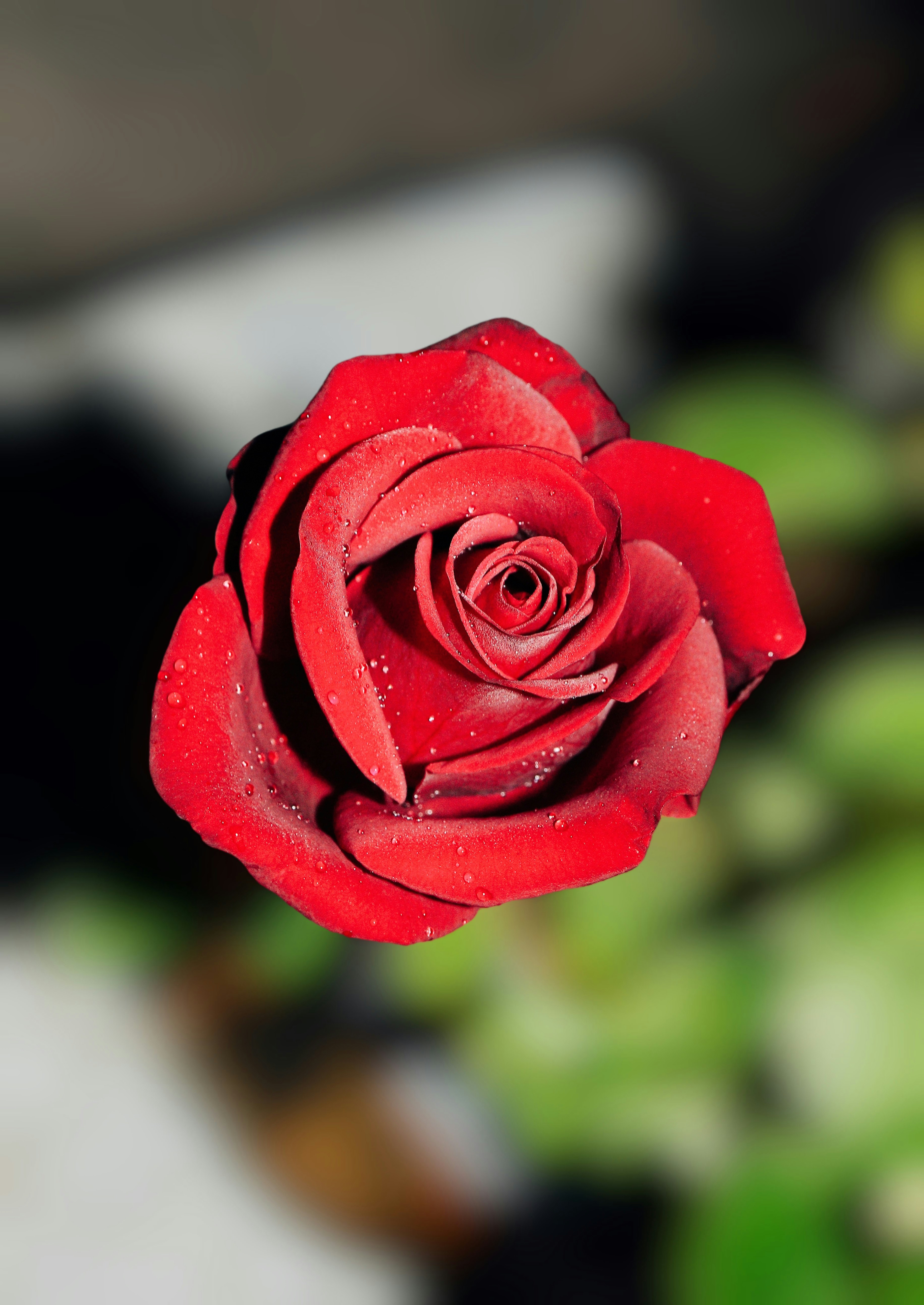 Photo by dpkvishwakarma04