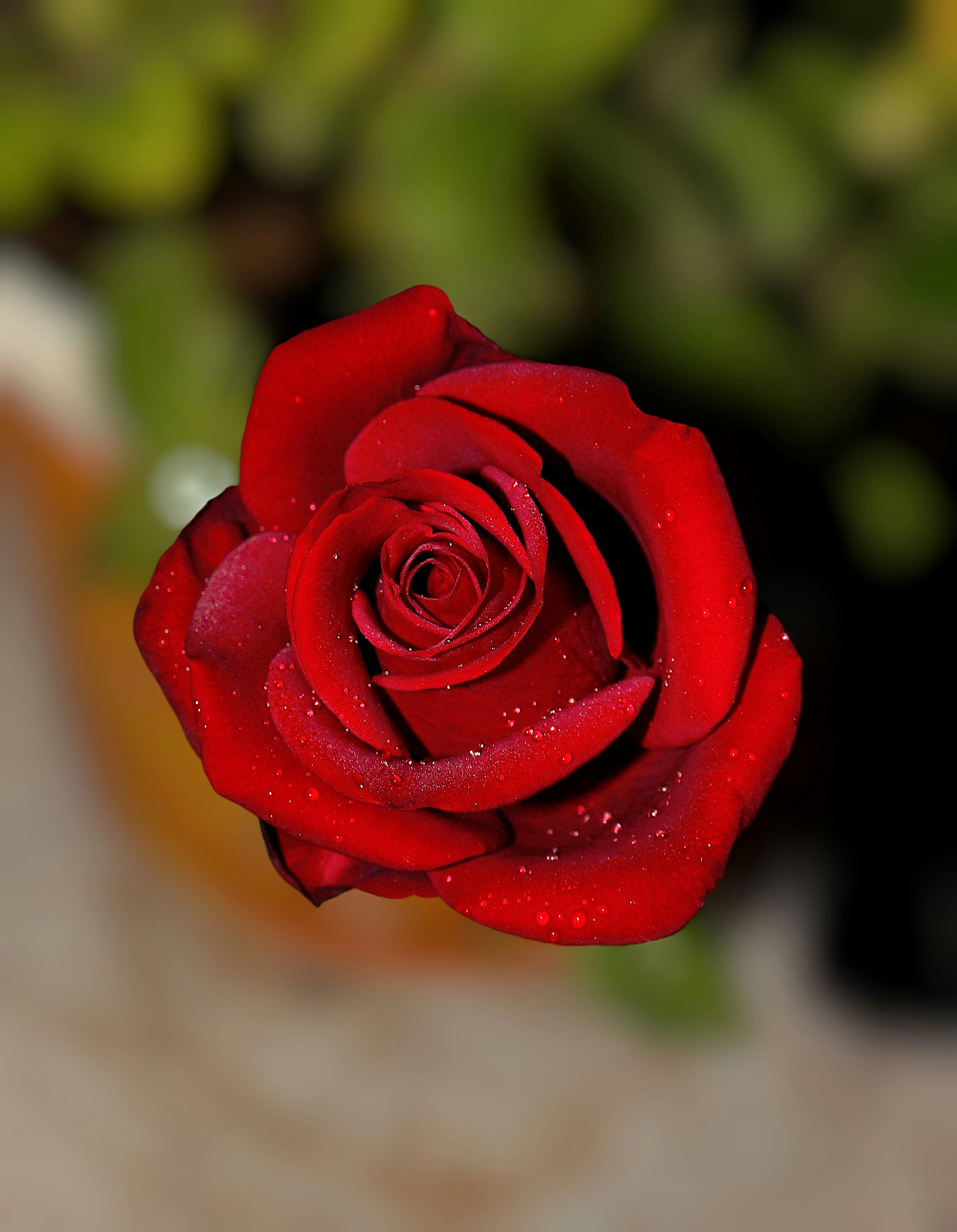 Photo by dpkvishwakarma04