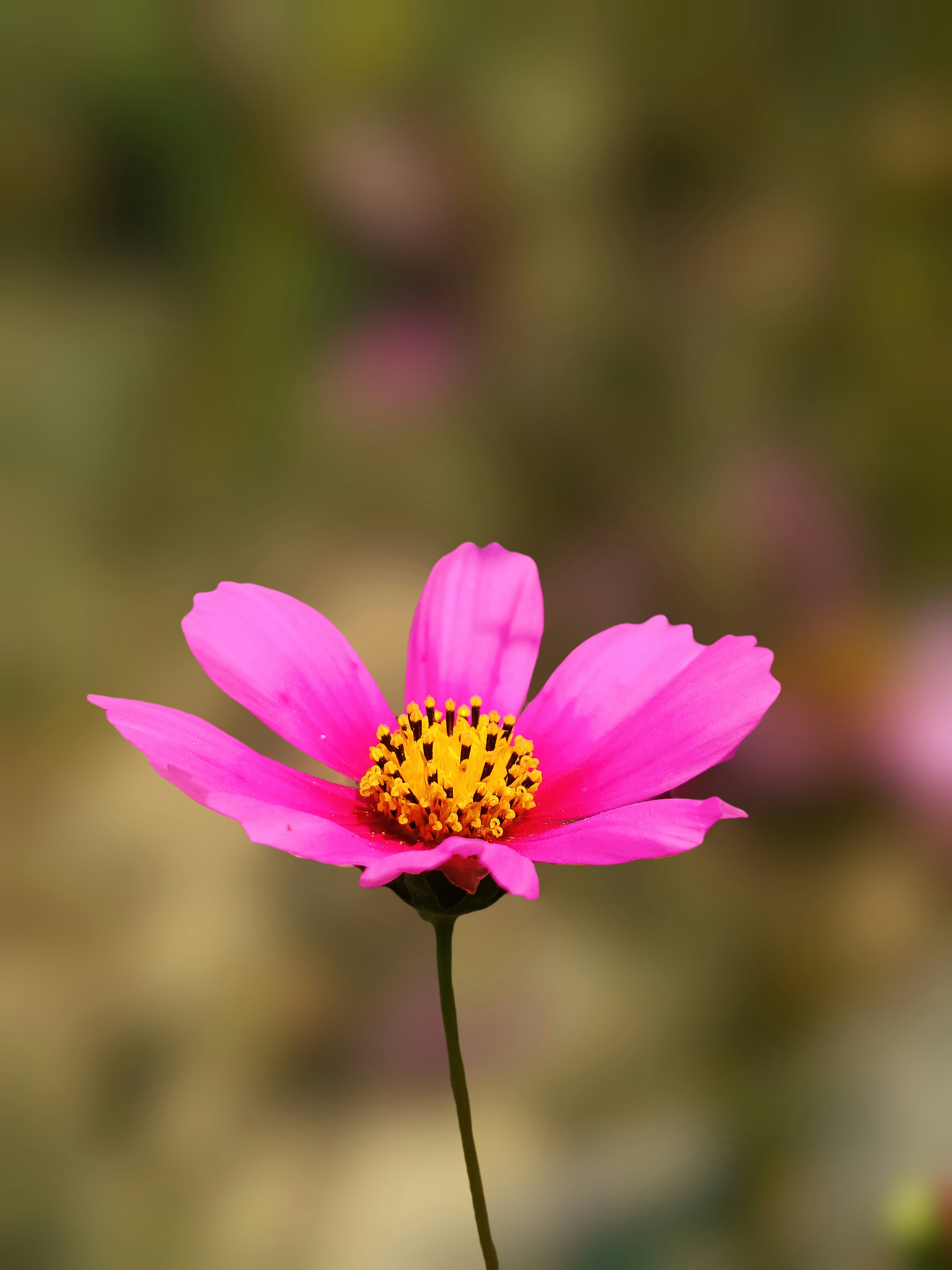 Photo by dpkvishwakarma04