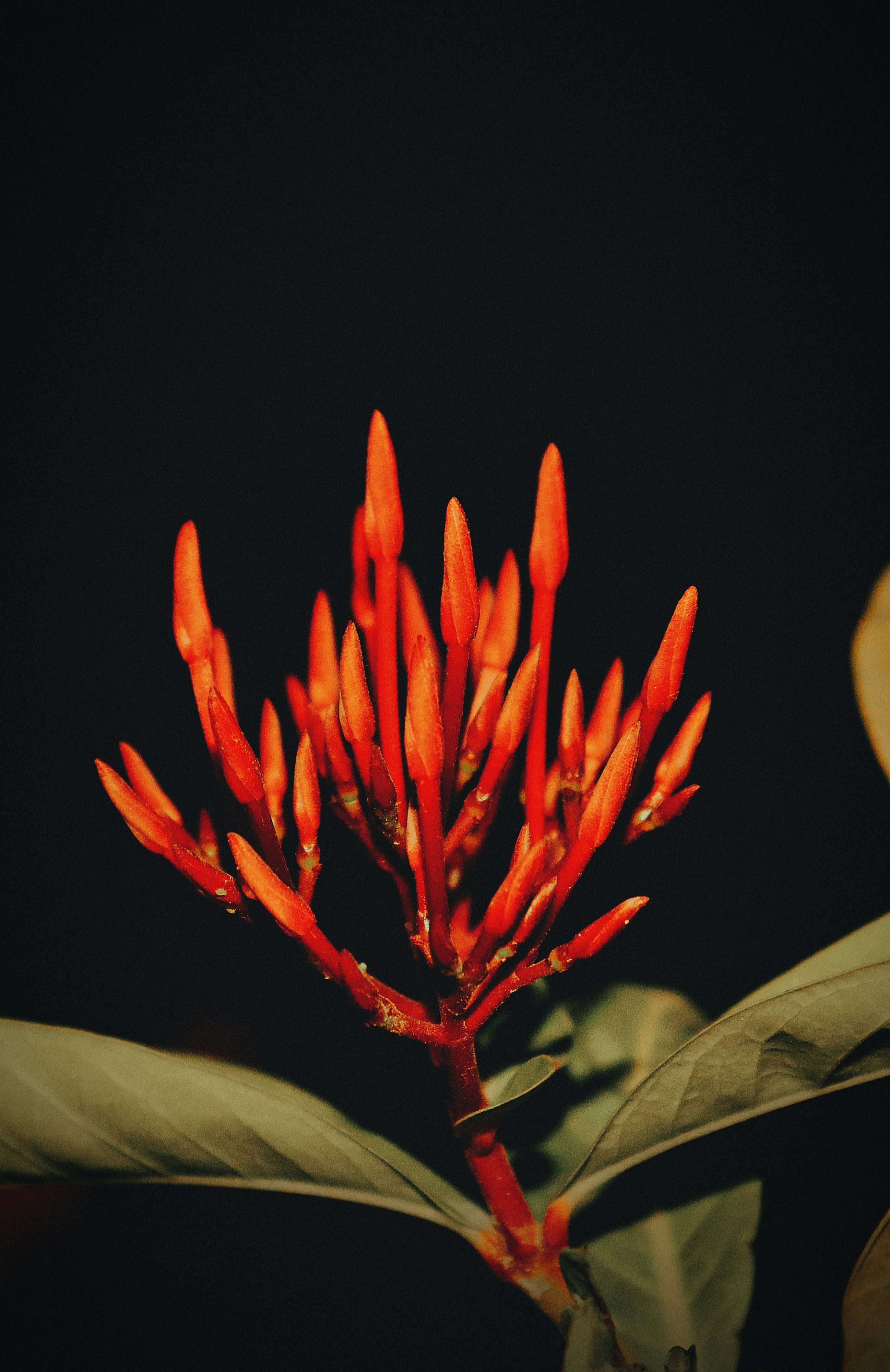 Photo by dpkvishwakarma04