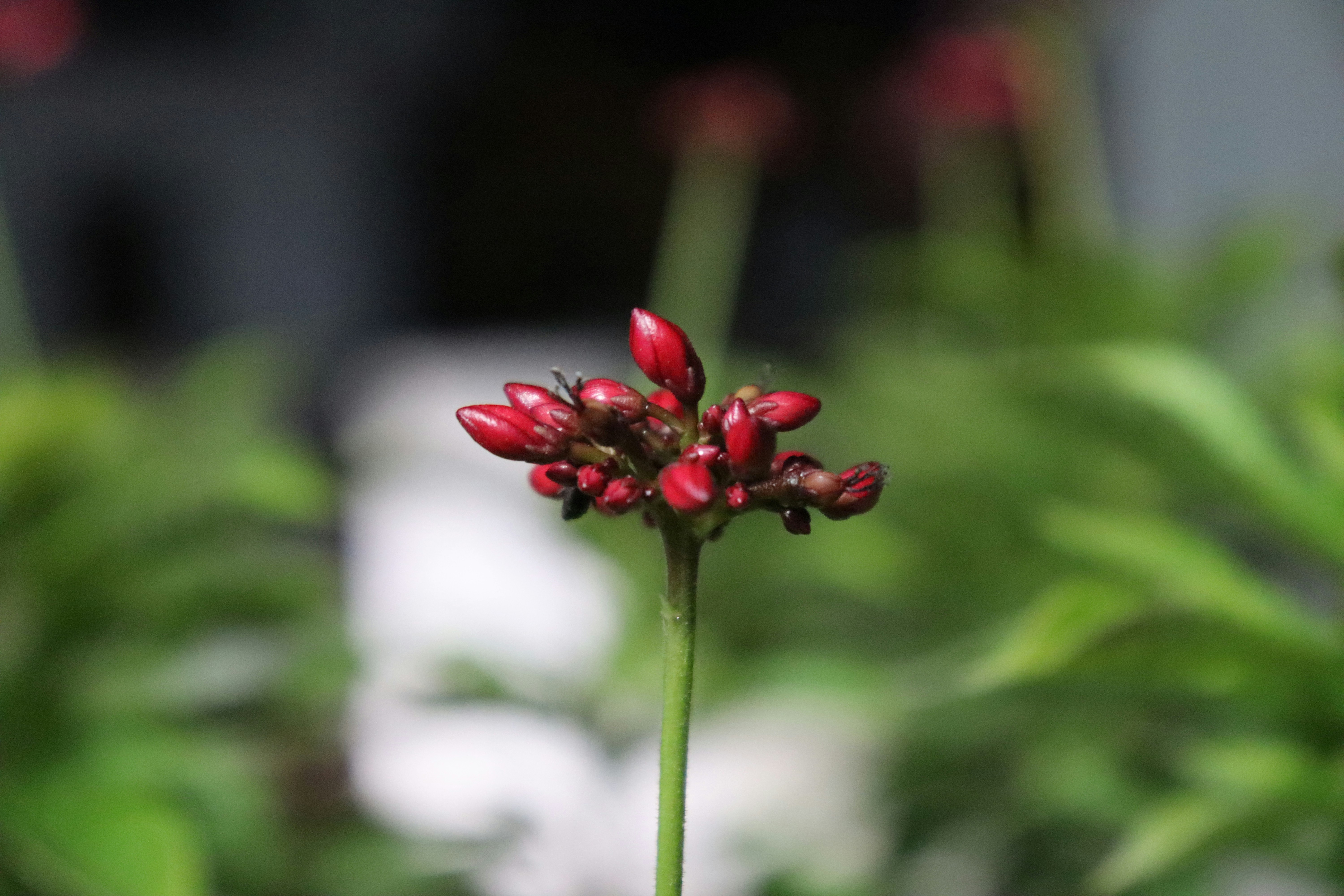 Photo by dpkvishwakarma04