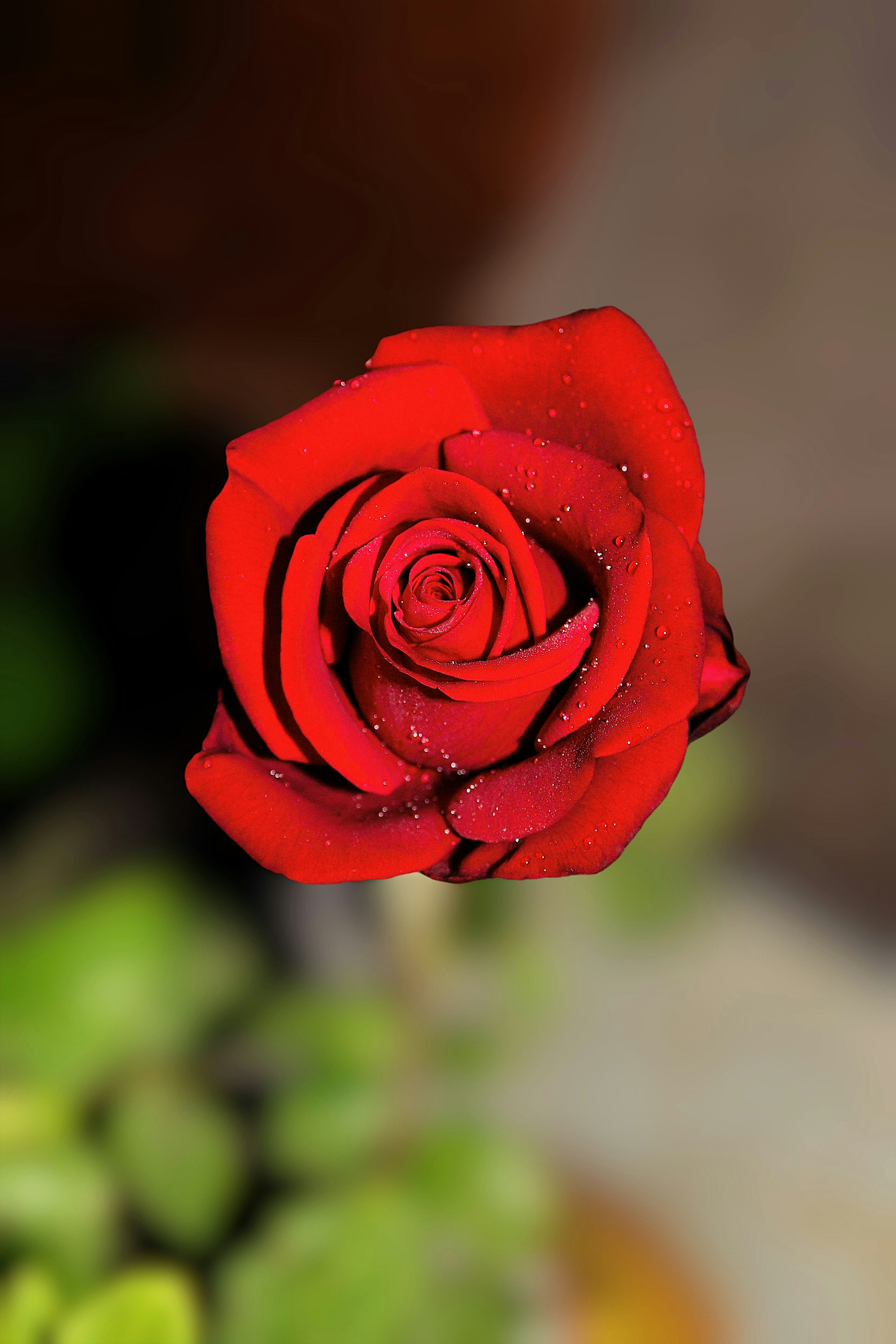 Photo by dpkvishwakarma04