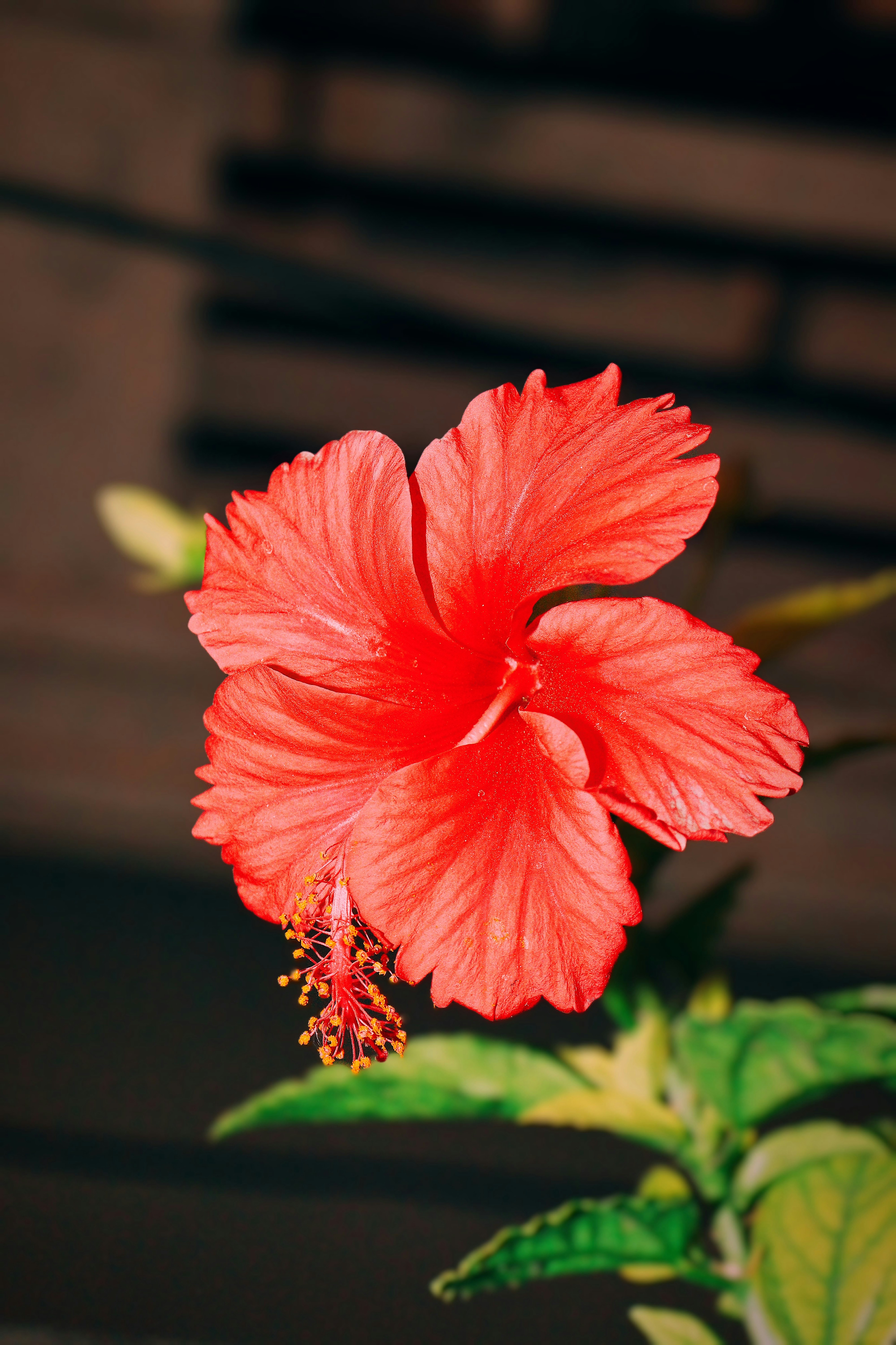 Photo by dpkvishwakarma04