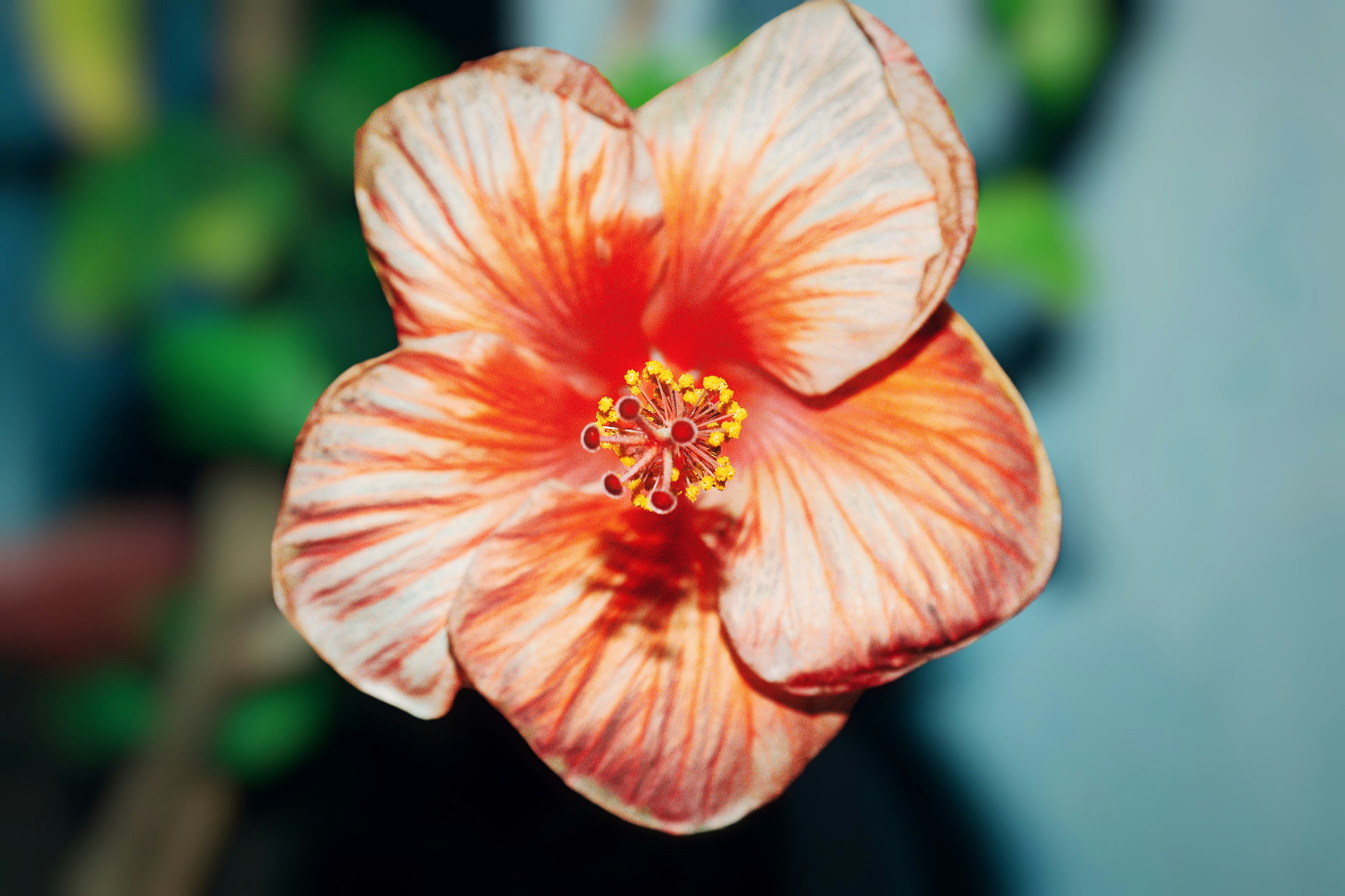 Photo by dpkvishwakarma04