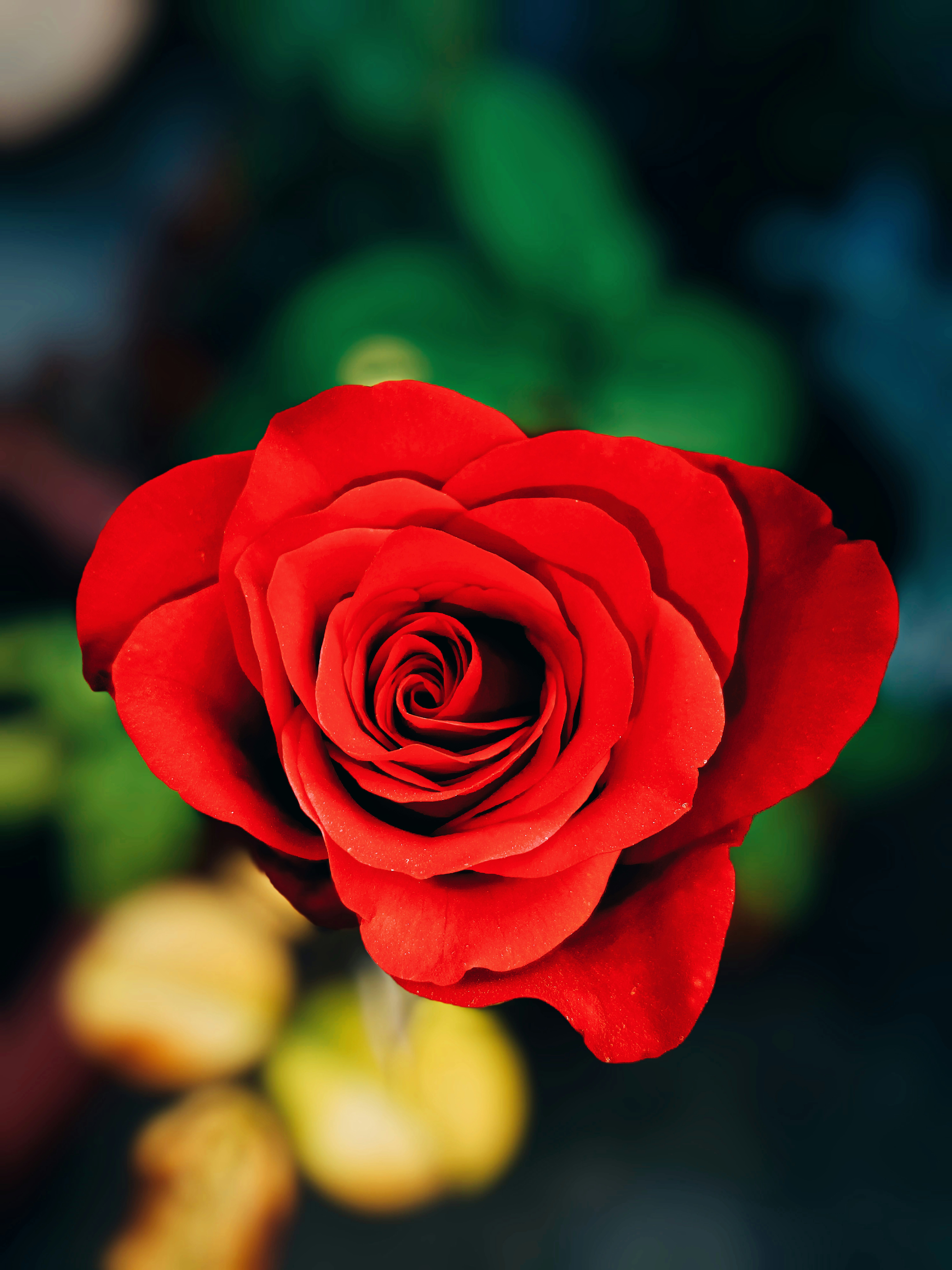 Photo by dpkvishwakarma04