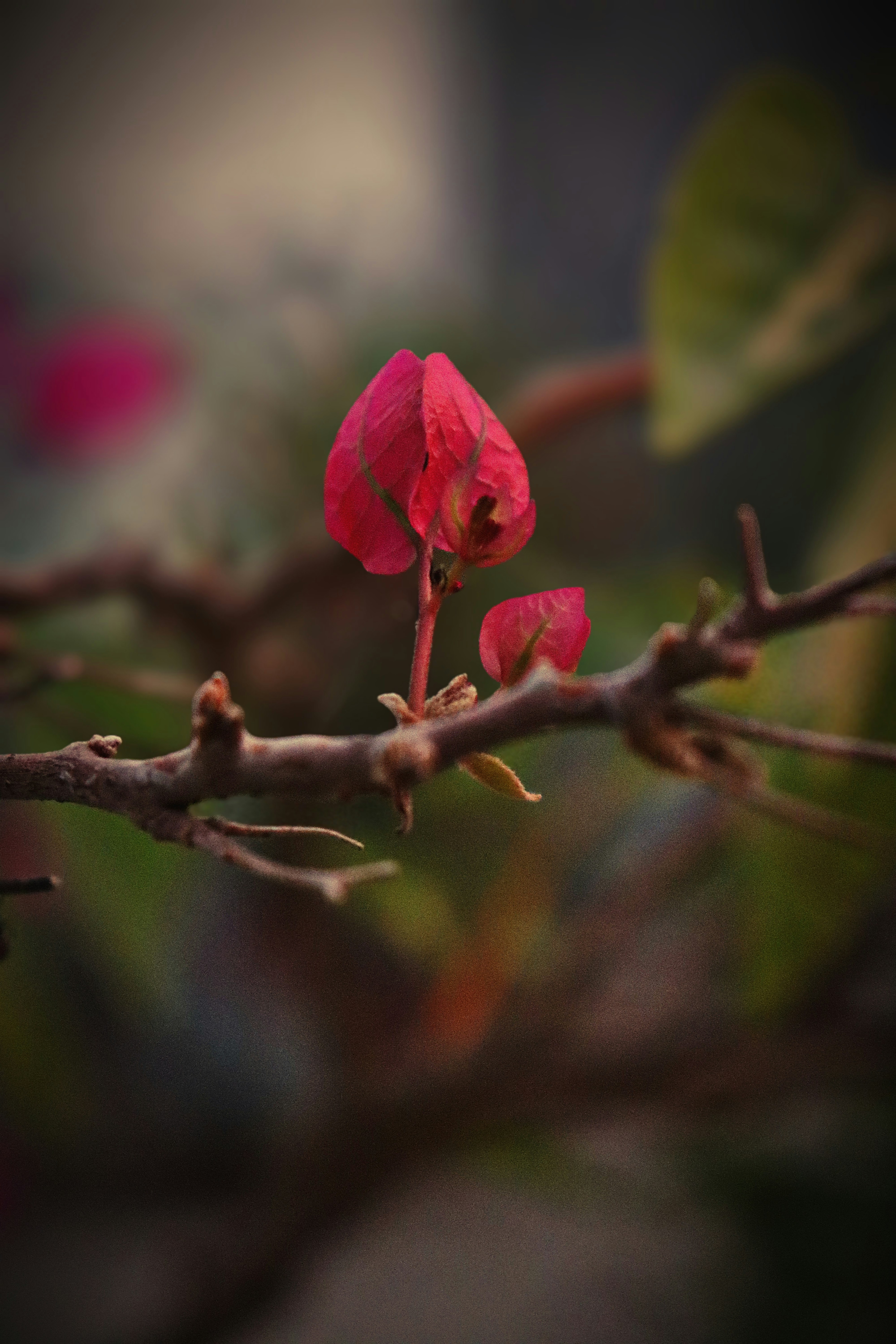 Photo by dpkvishwakarma04