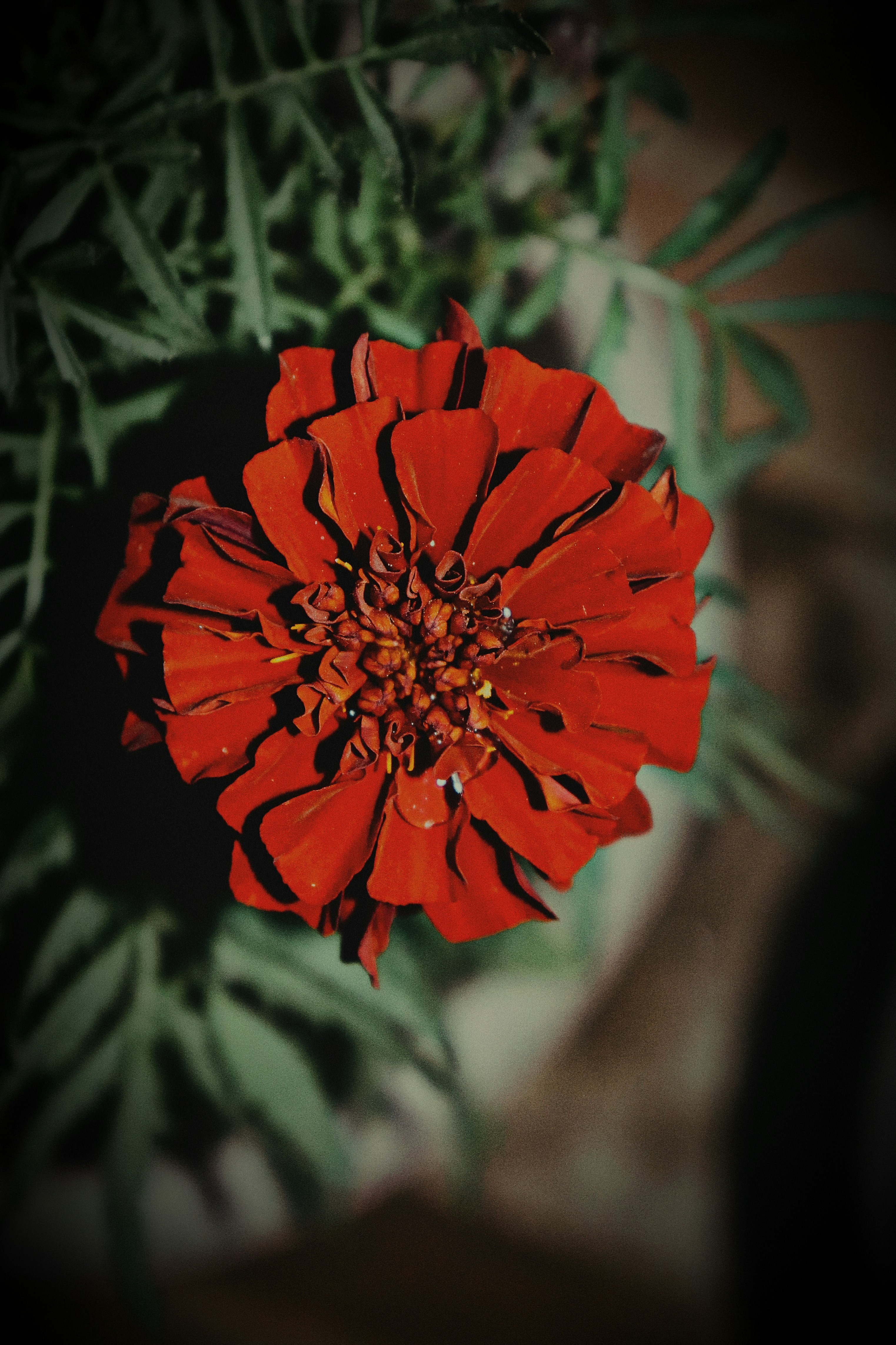 Photo by dpkvishwakarma04