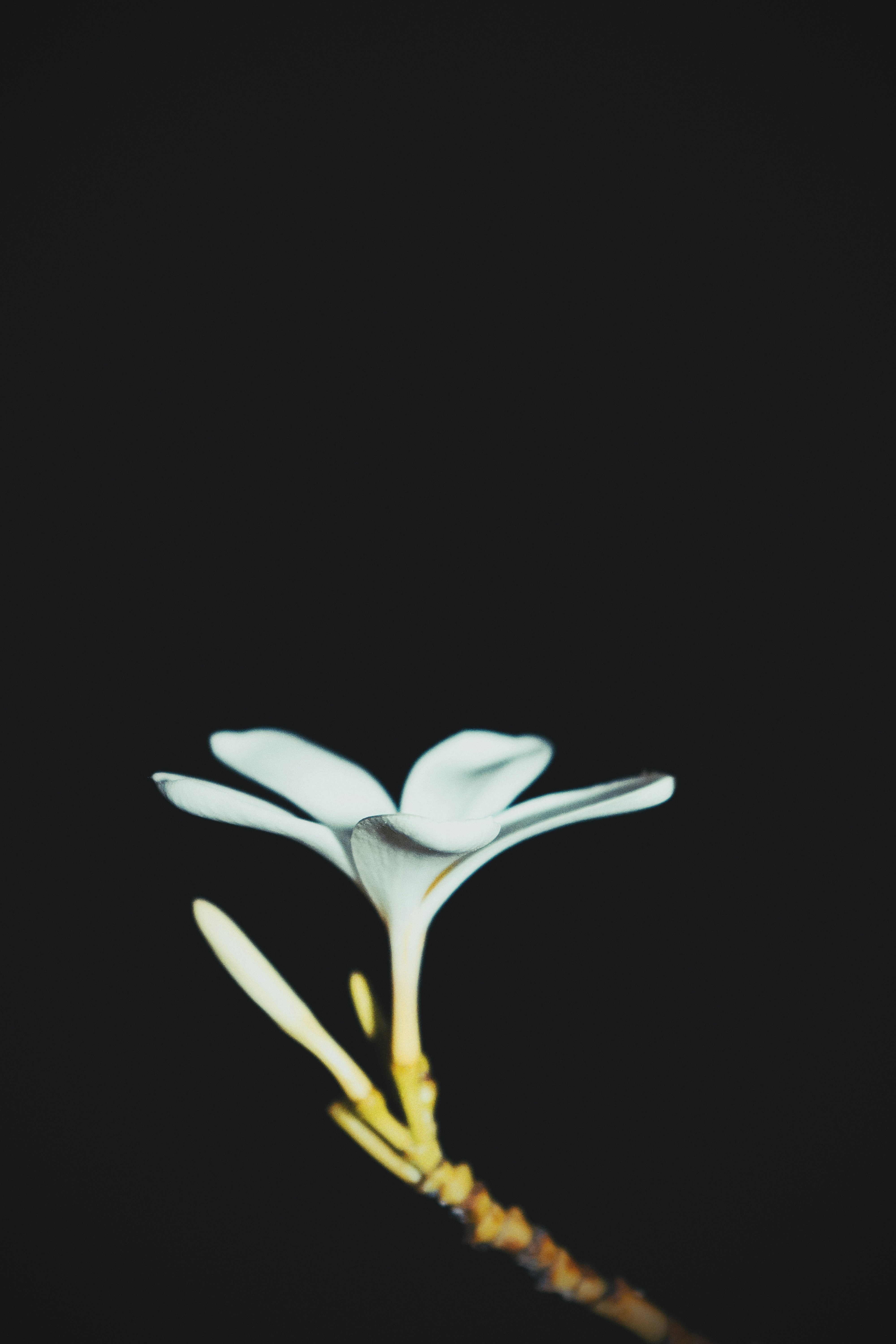 Photo by dpkvishwakarma04