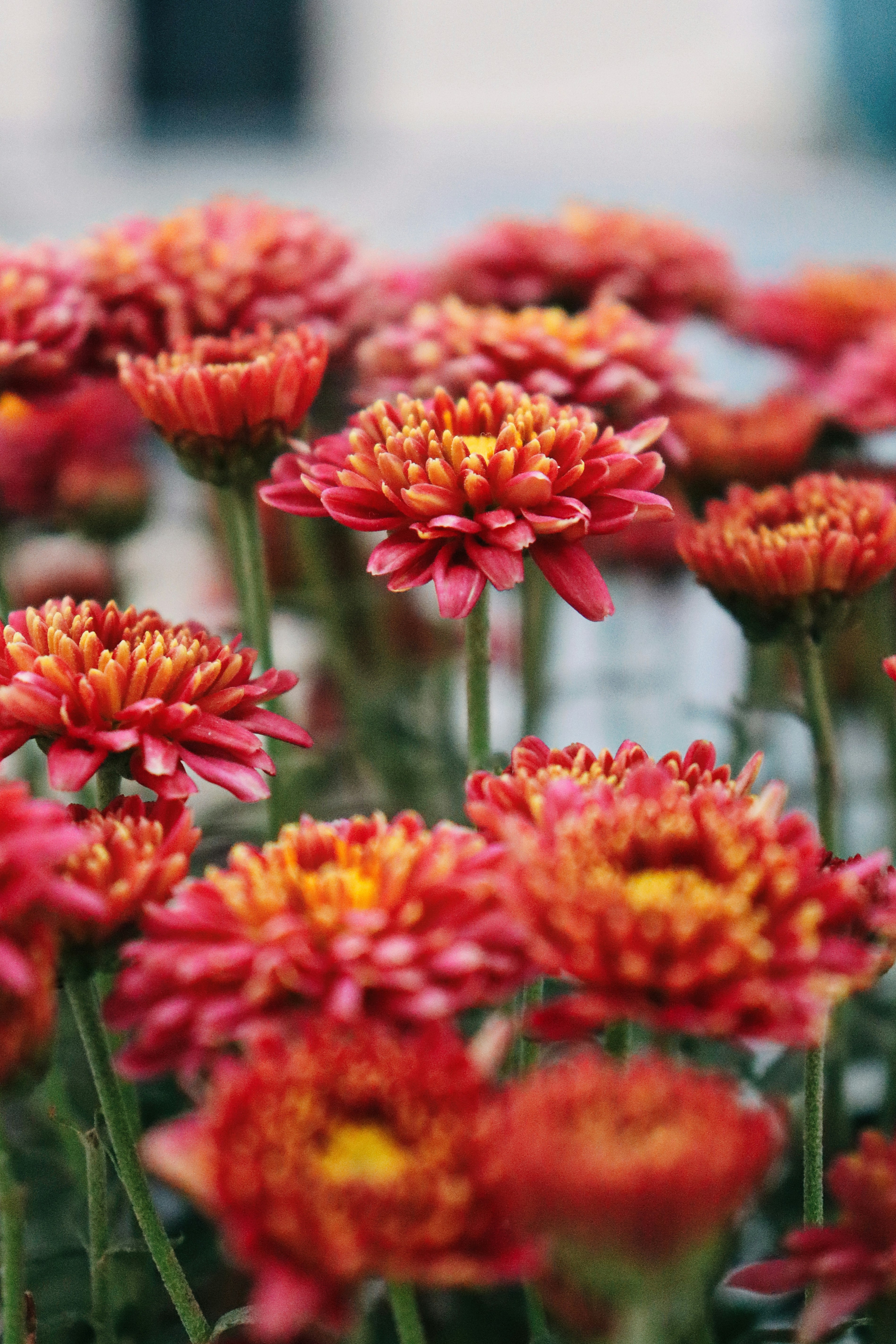 Photo by dpkvishwakarma04