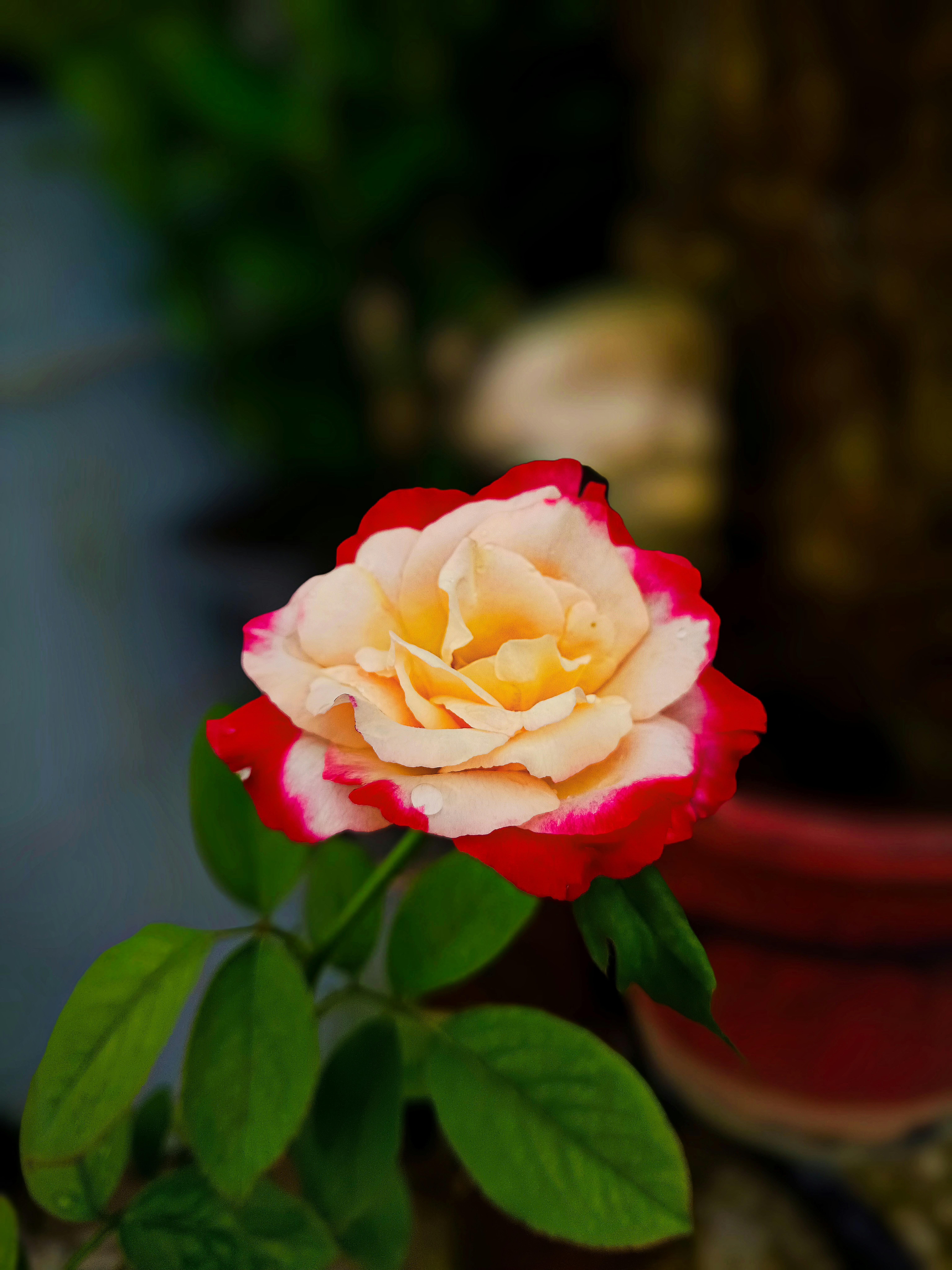 Photo by dpkvishwakarma04