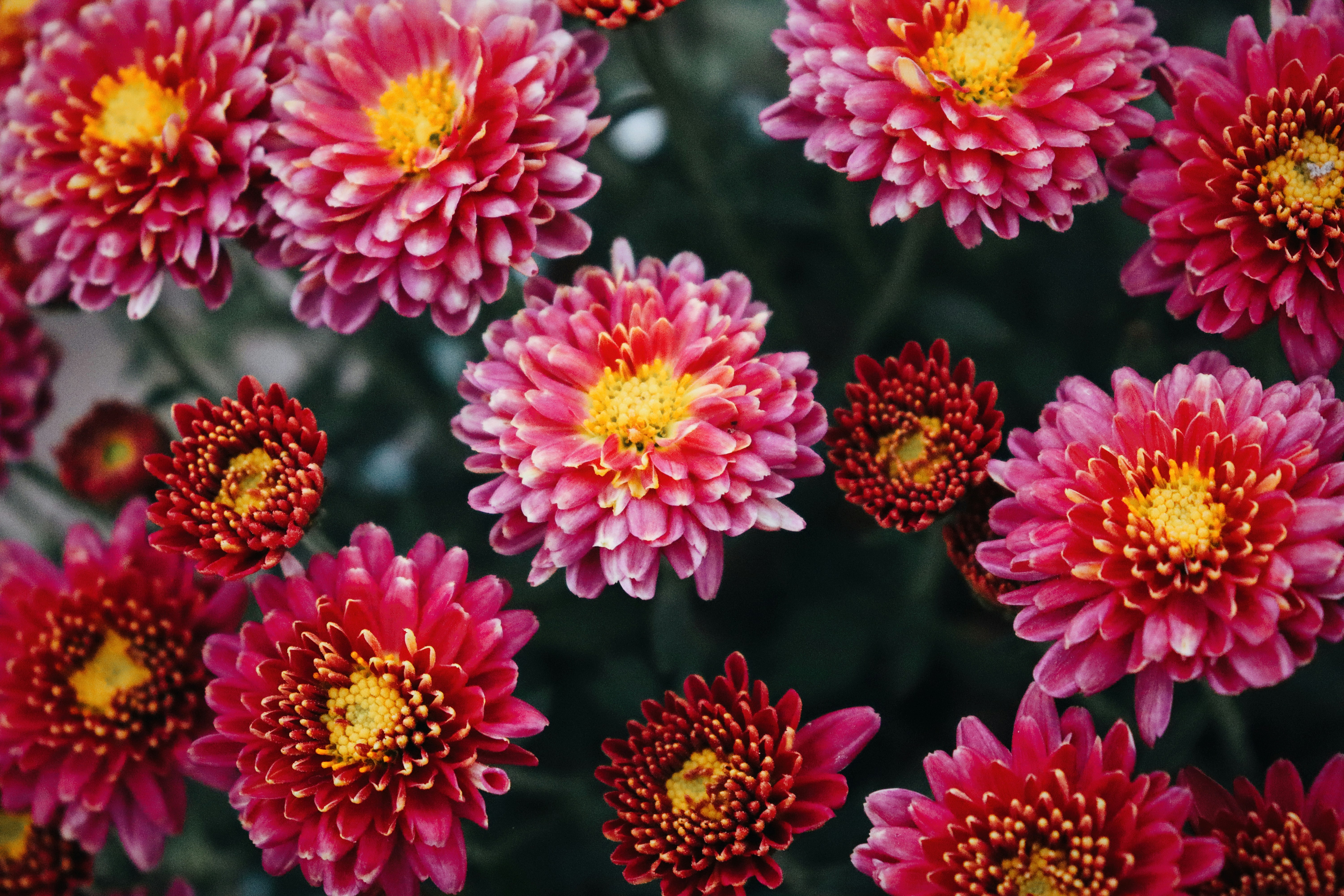 Photo by dpkvishwakarma04