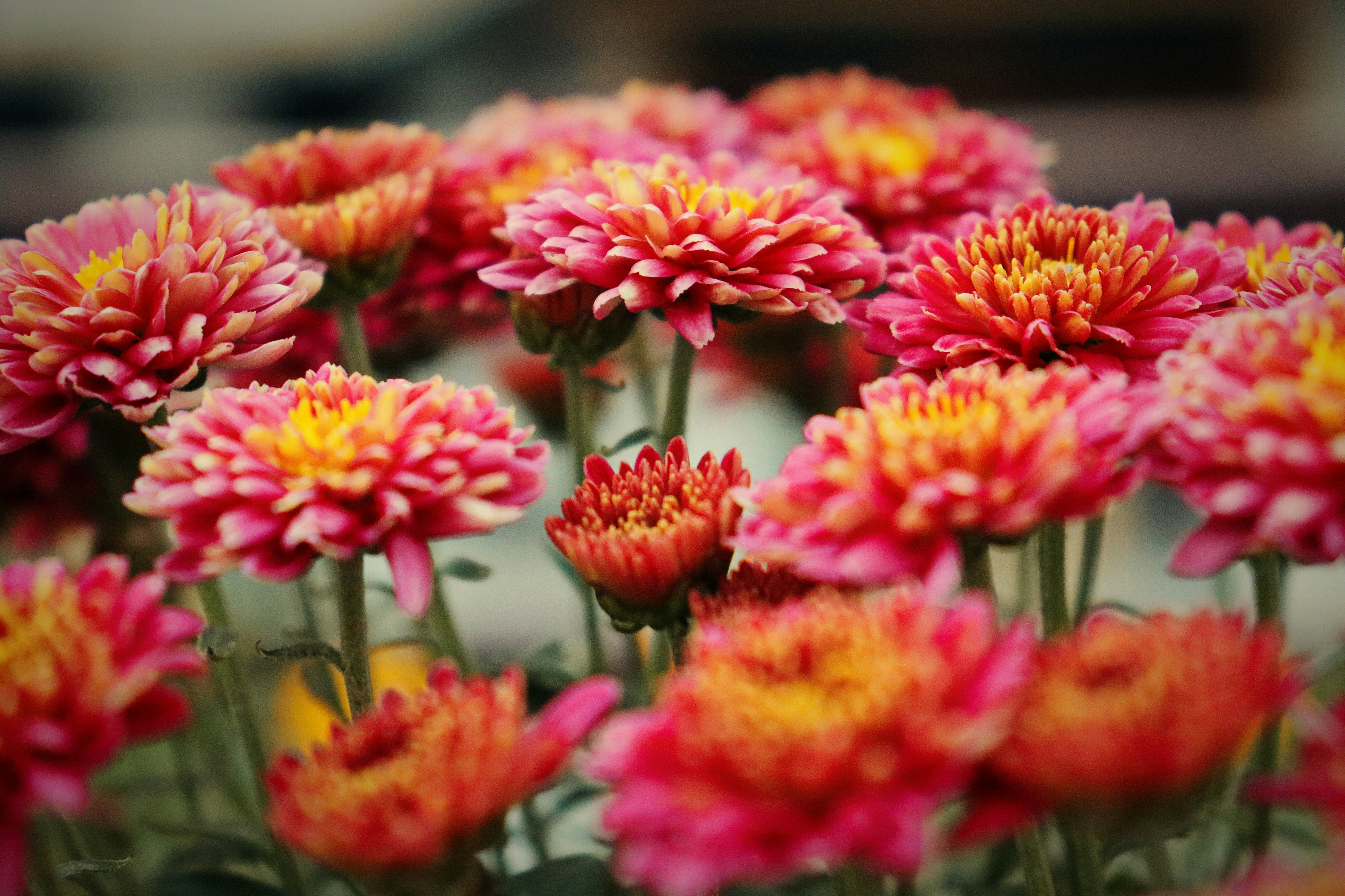 Photo by dpkvishwakarma04