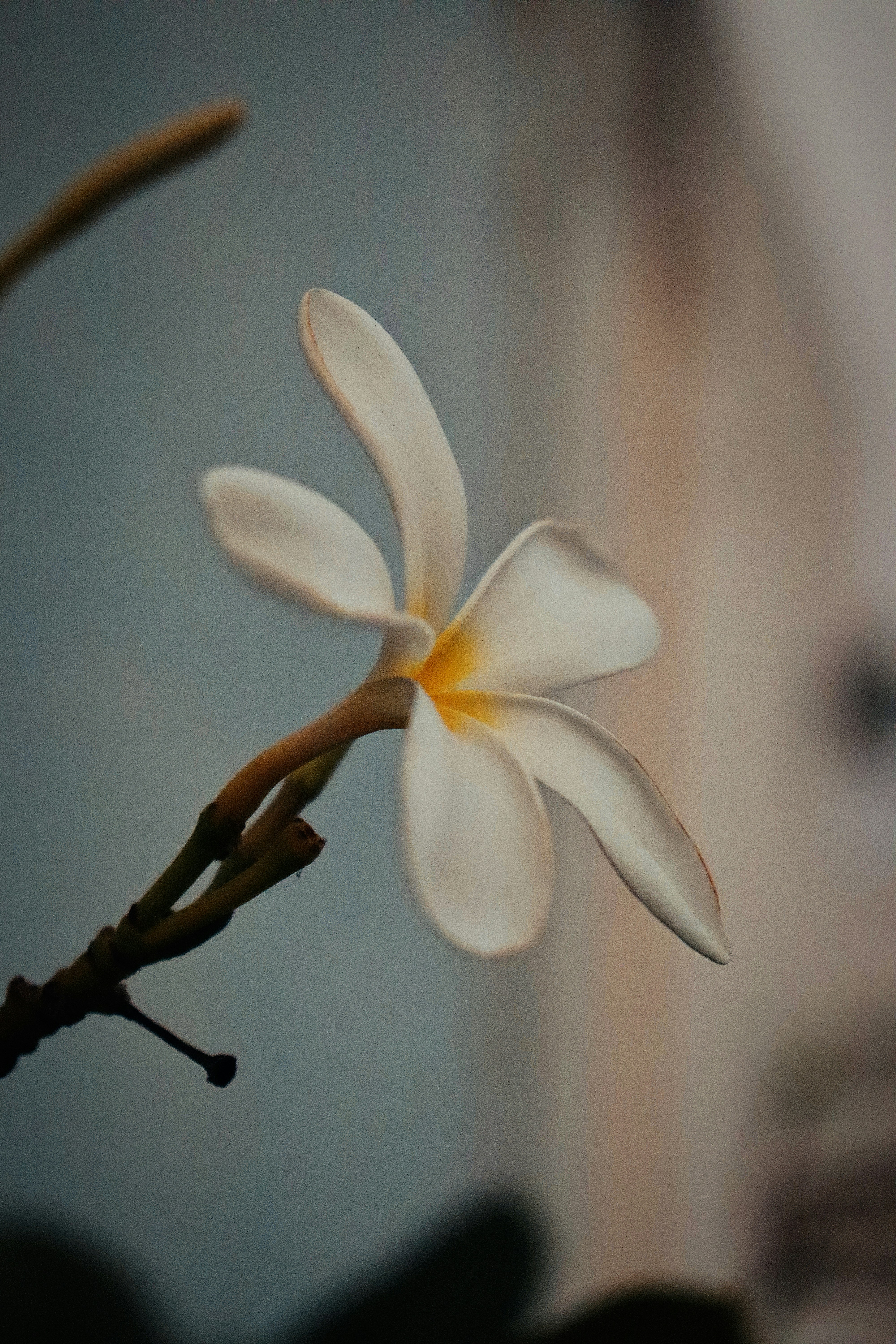 Photo by dpkvishwakarma04