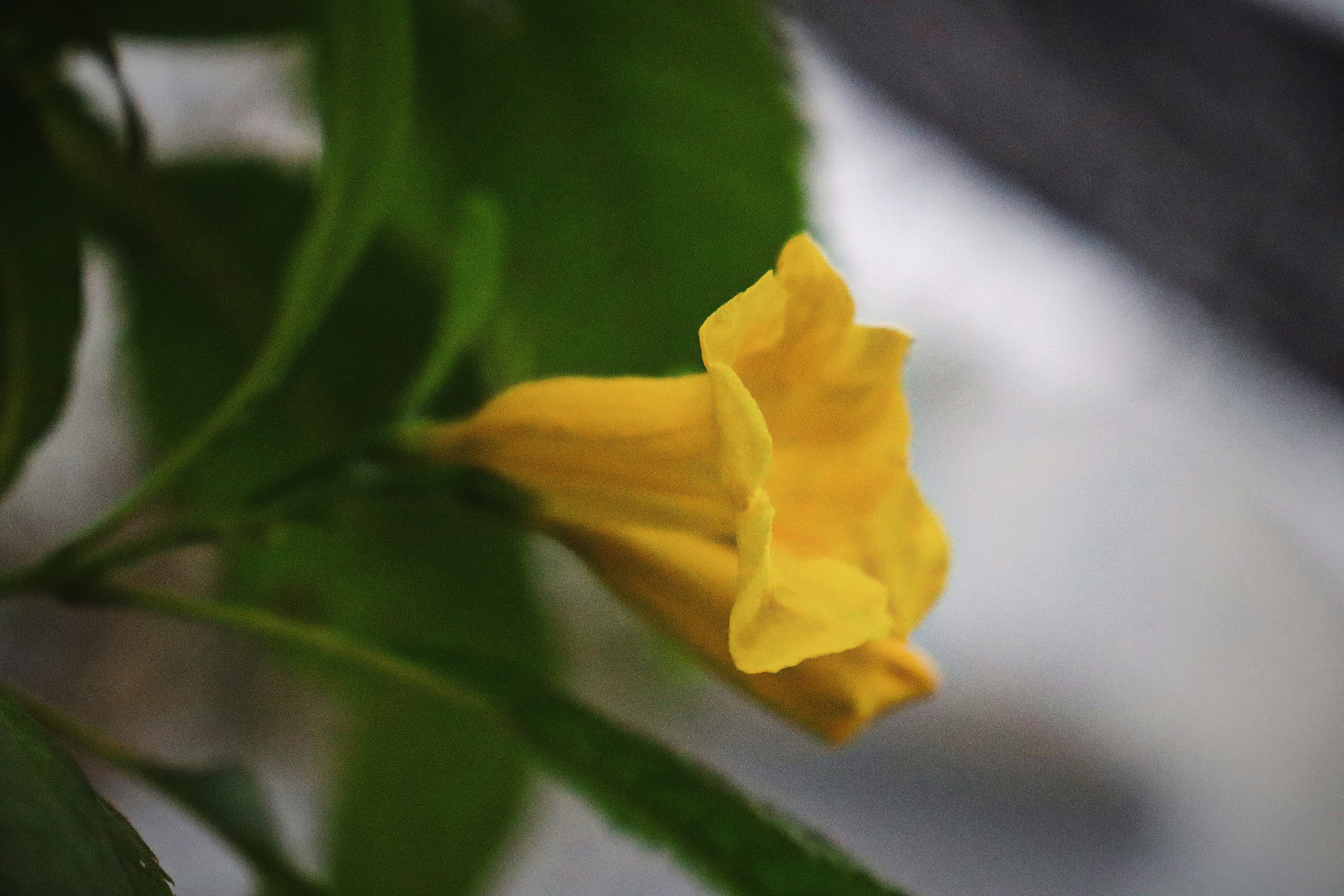 Photo by dpkvishwakarma04