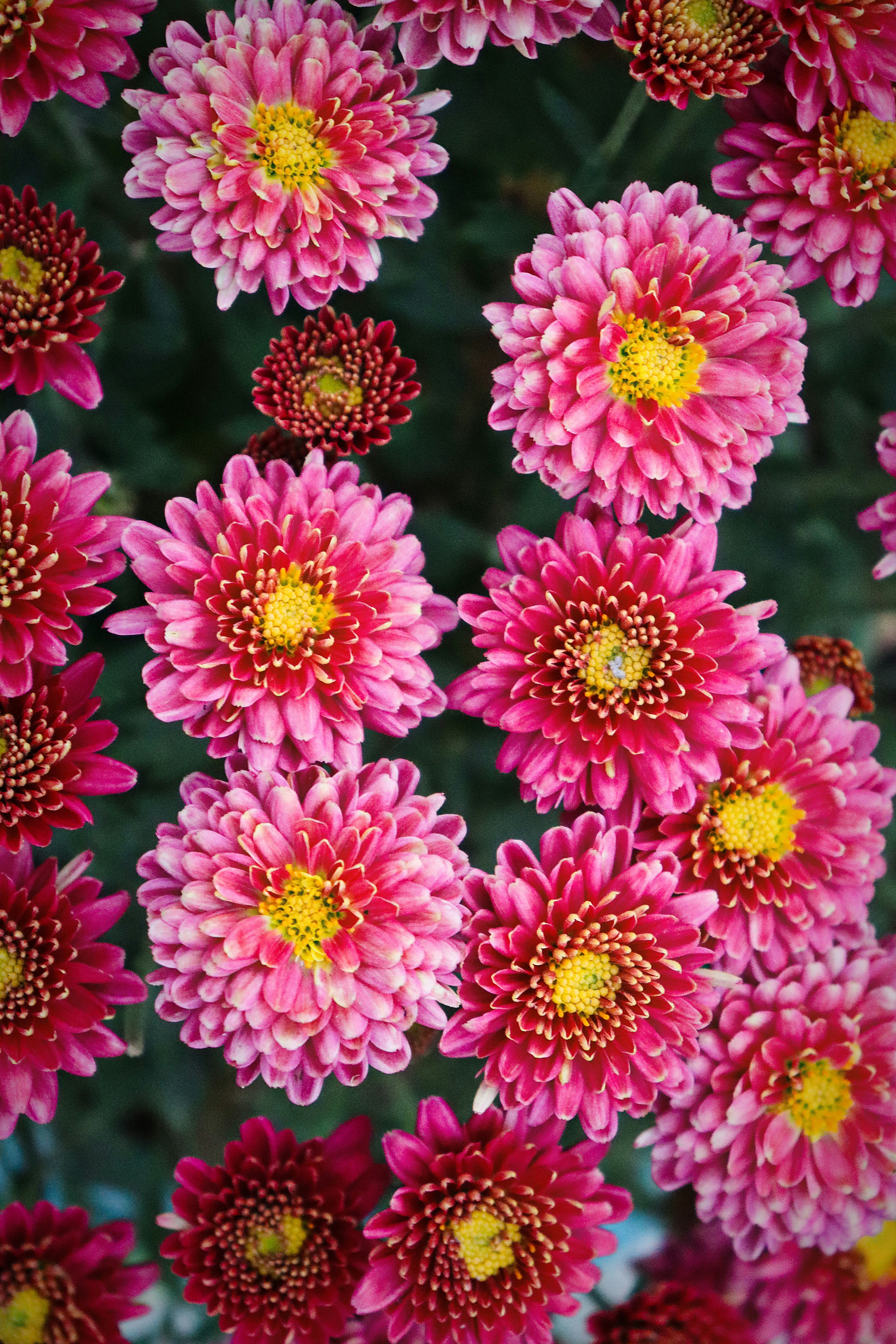 Photo by dpkvishwakarma04