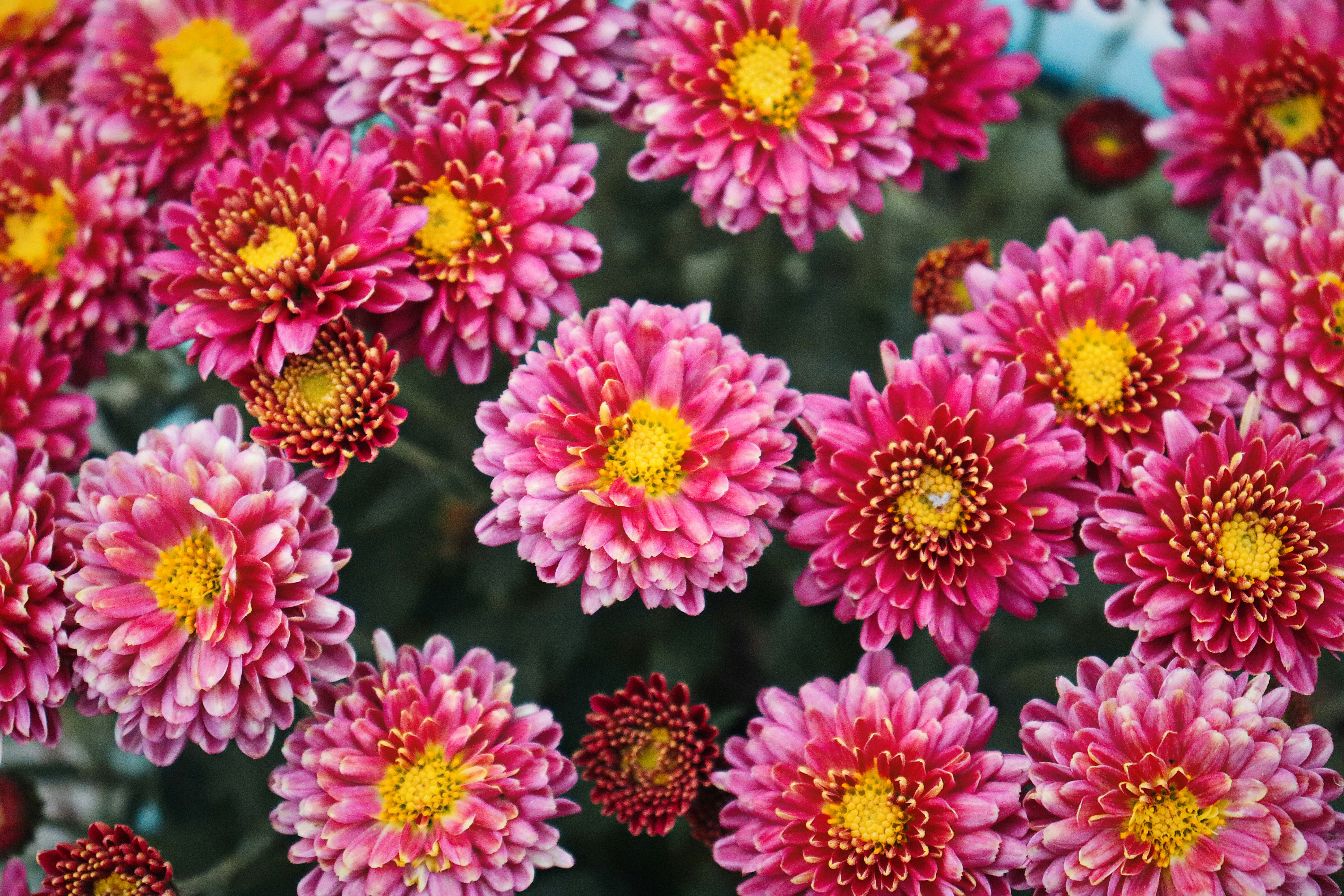 Photo by dpkvishwakarma04