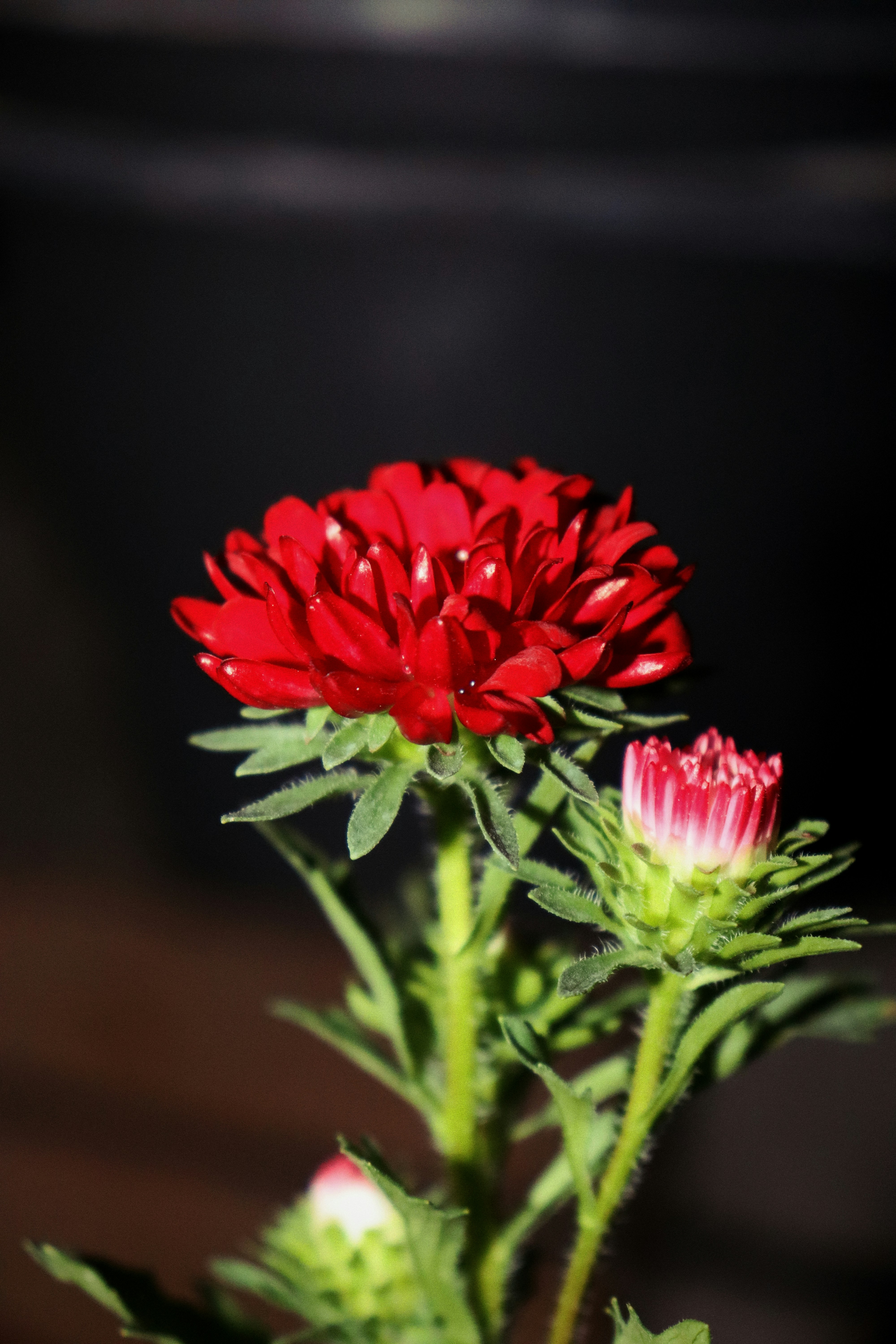 Photo by dpkvishwakarma04