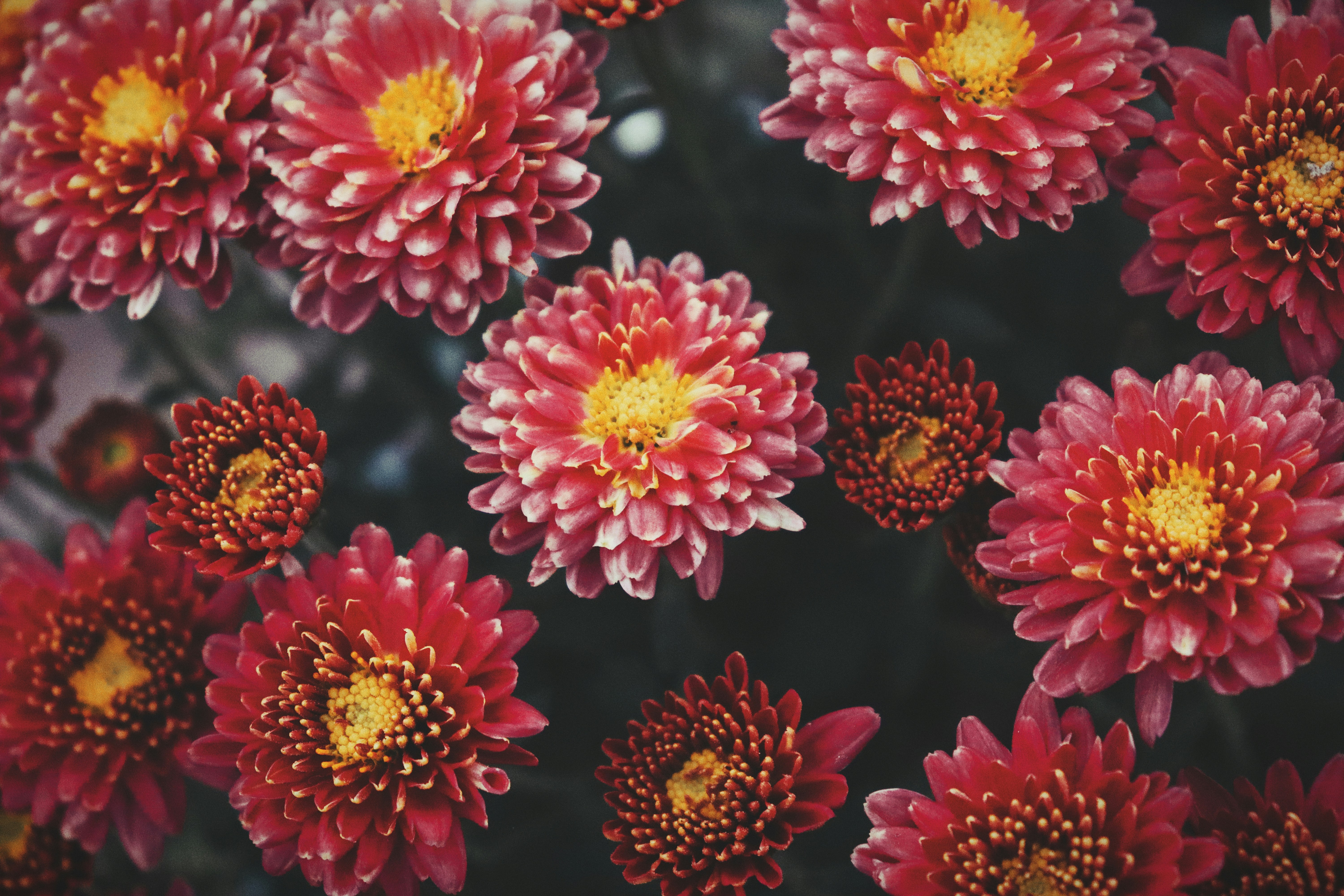 Photo by dpkvishwakarma04