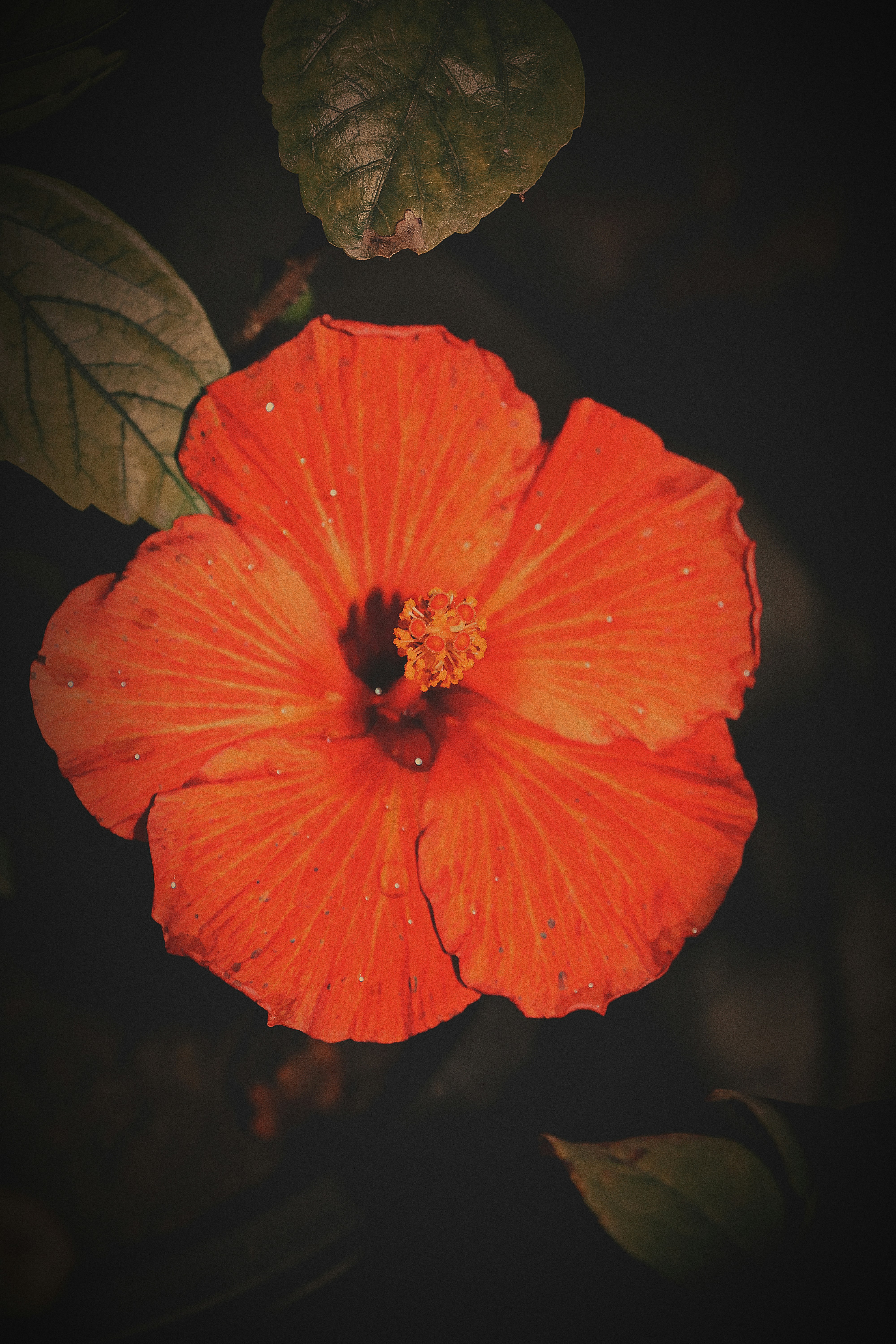 Photo by dpkvishwakarma04