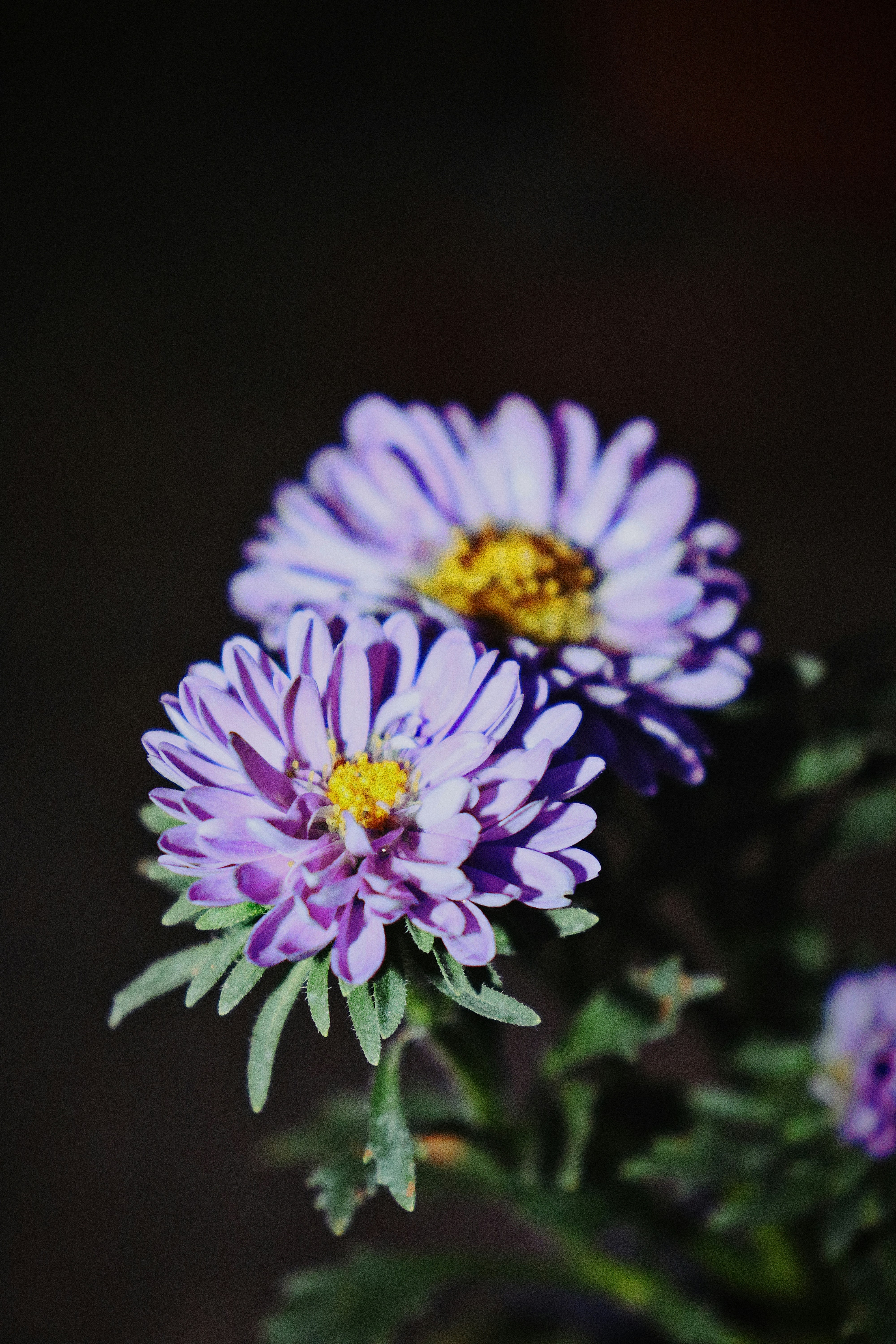 Photo by dpkvishwakarma04