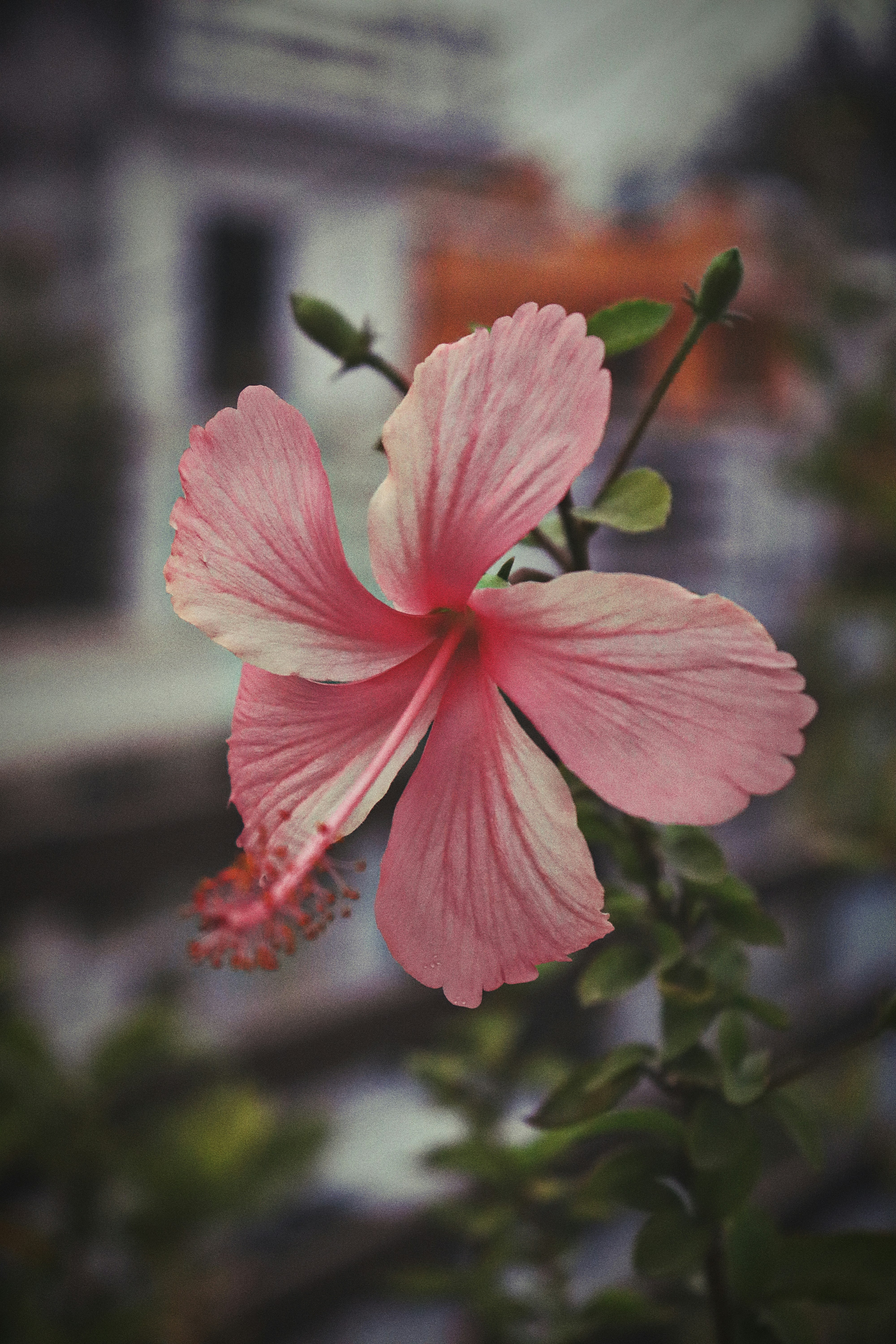 Photo by dpkvishwakarma04