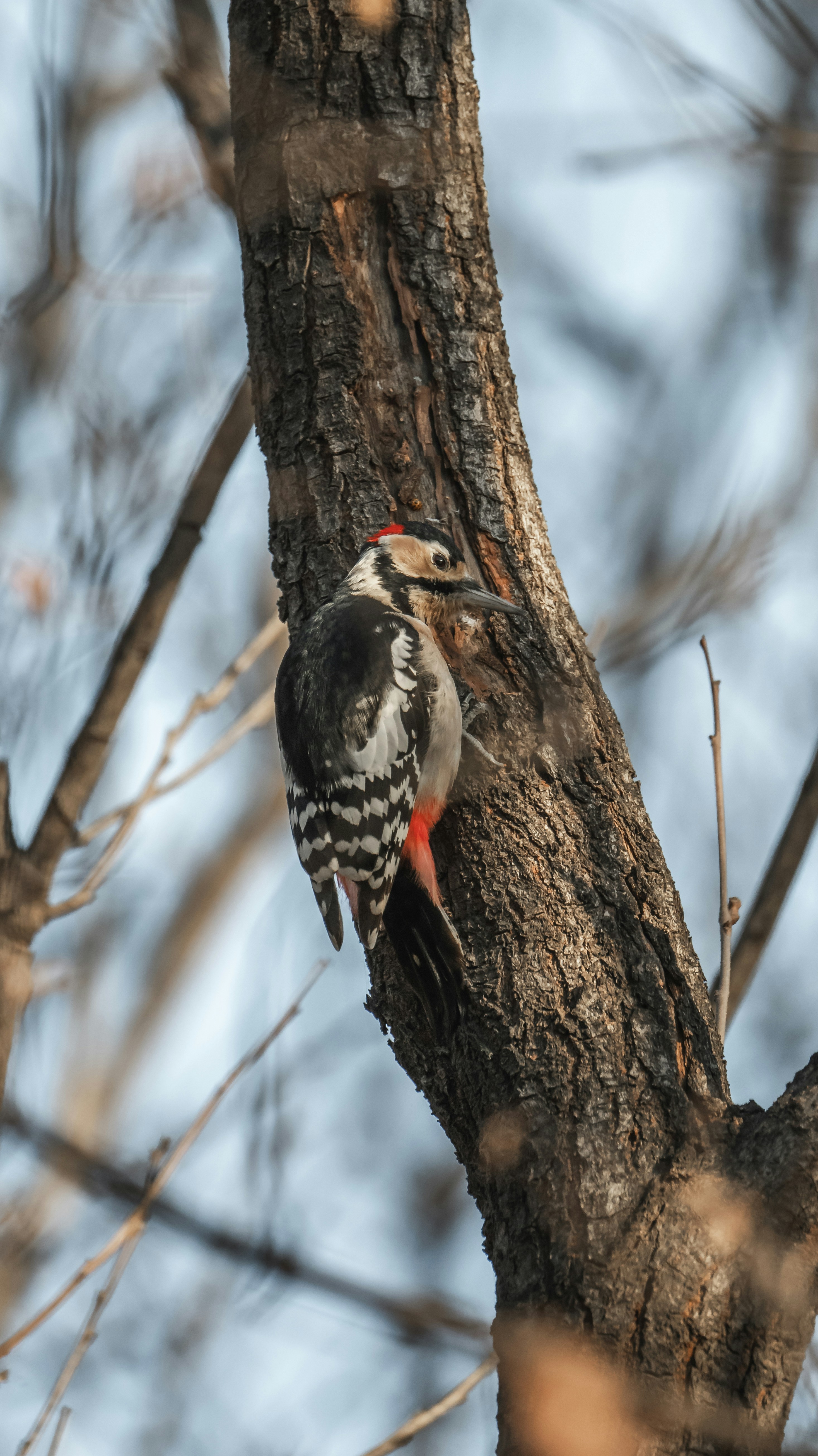 Photo by peek_a_boo_who