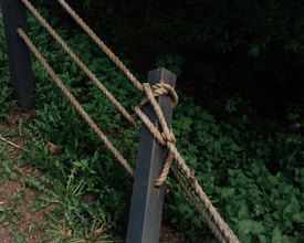 Cómo poner límites saludables con los demás