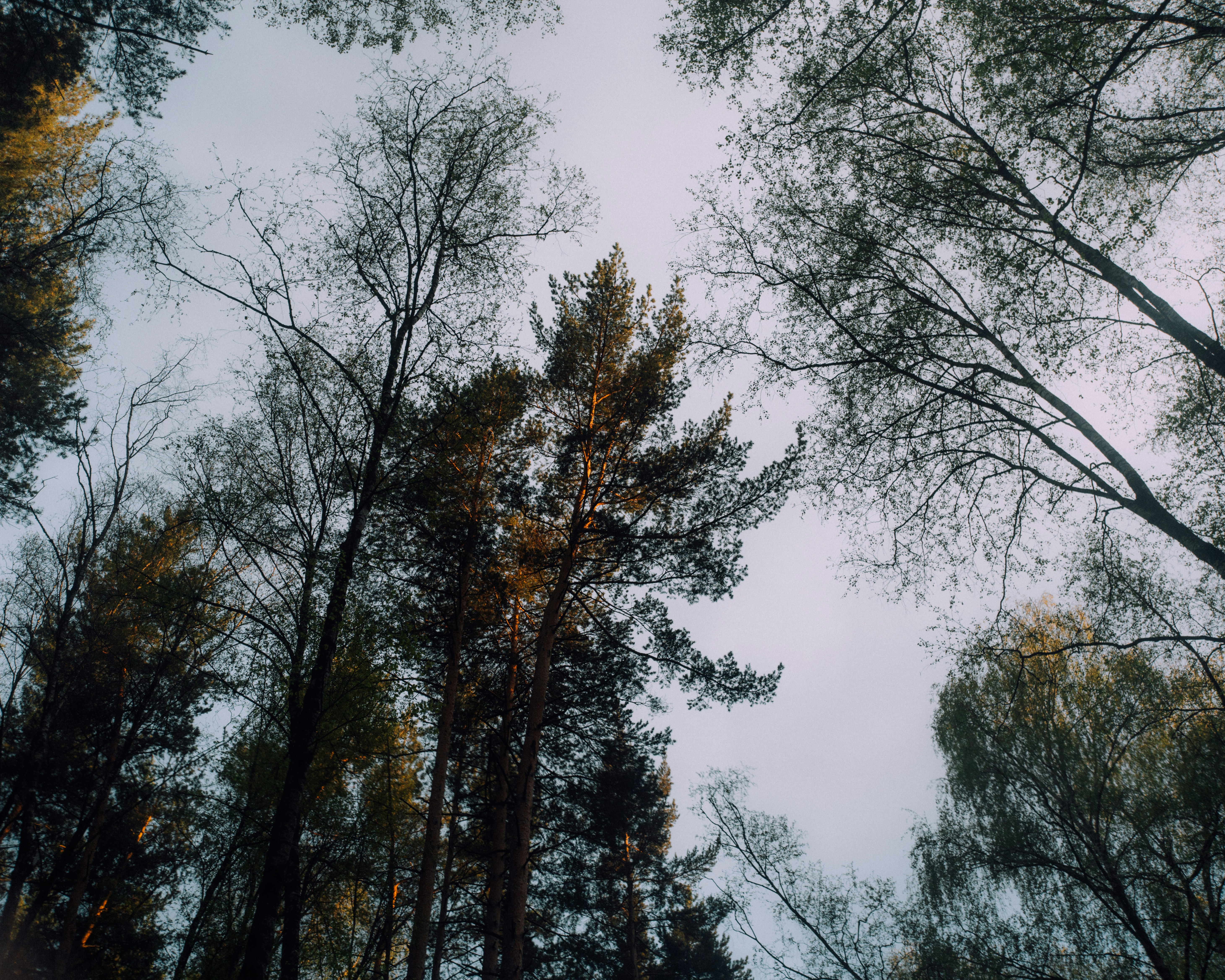 Photo by andrei11948