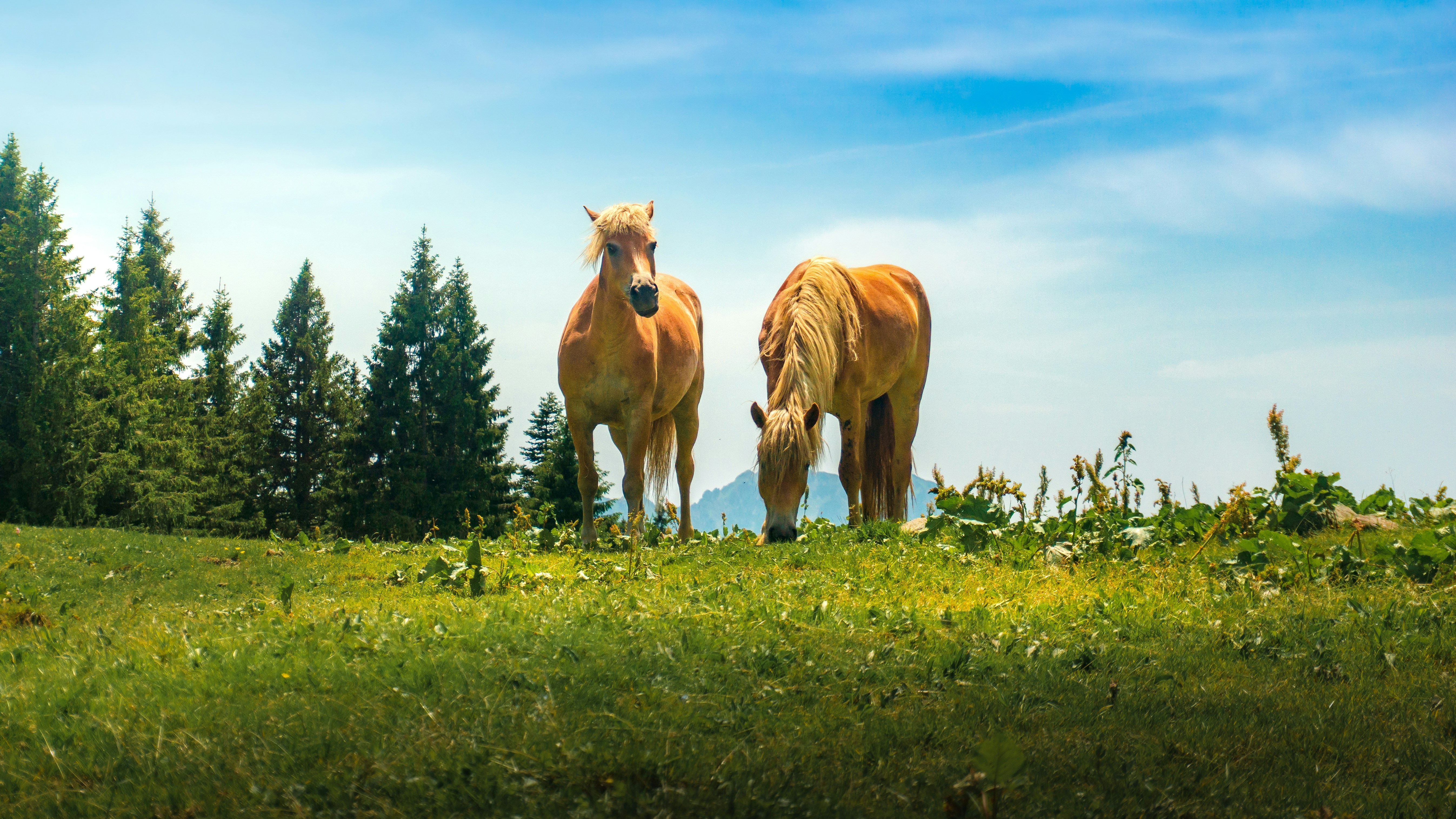 Photo by isaacmaffeis