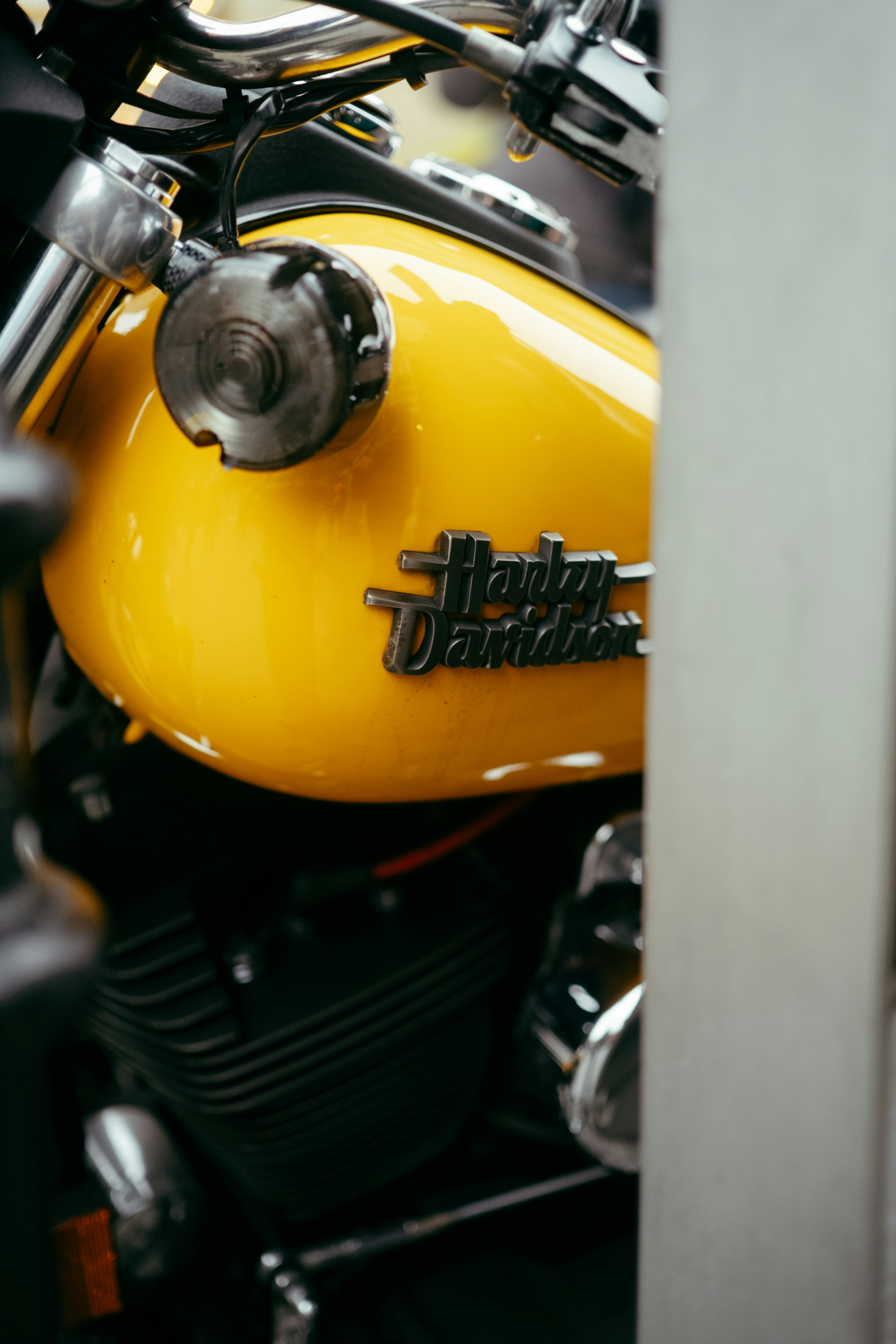 Close-up of a yellow harley-davidson motorcycle tank.