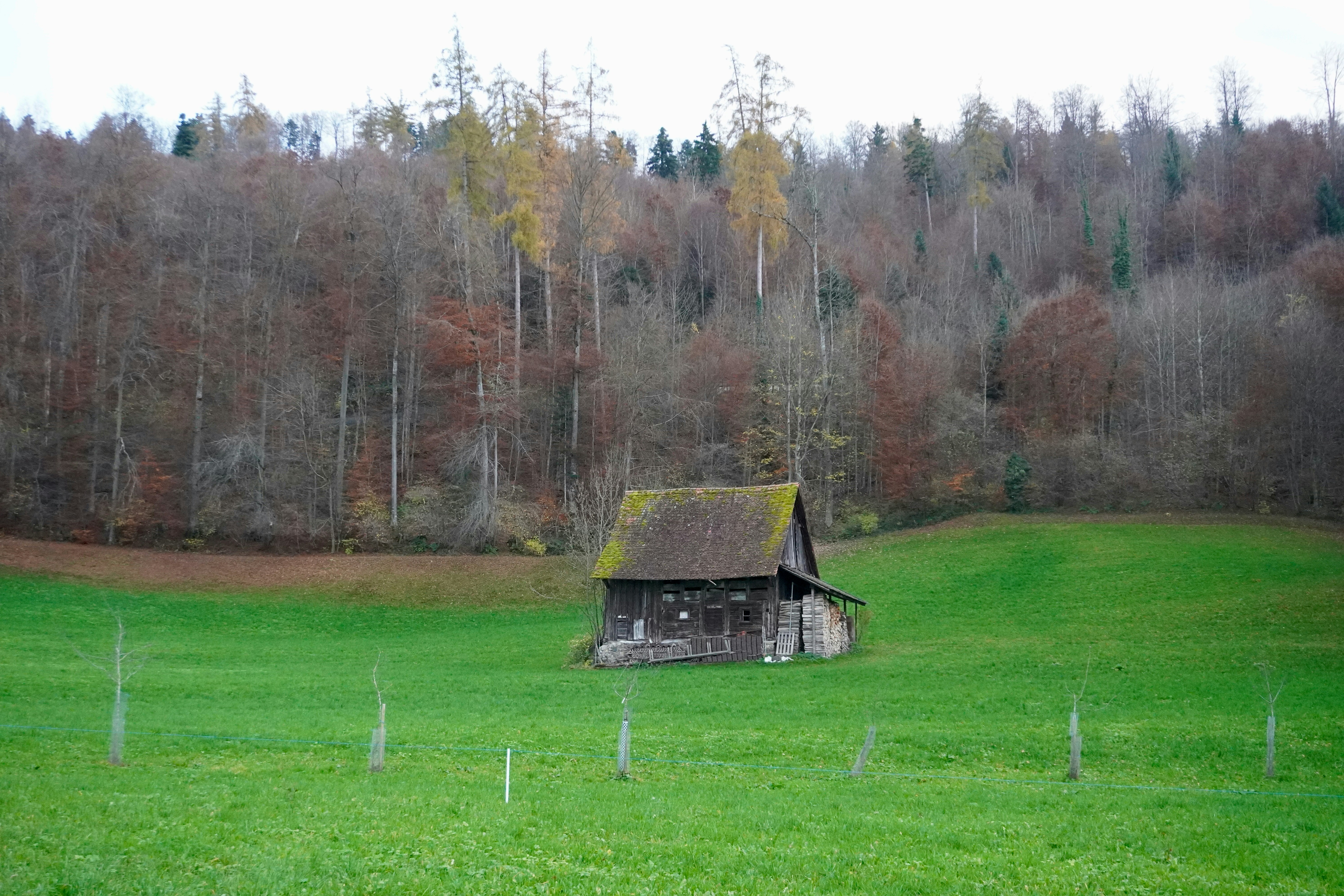 Photo by peterburdon