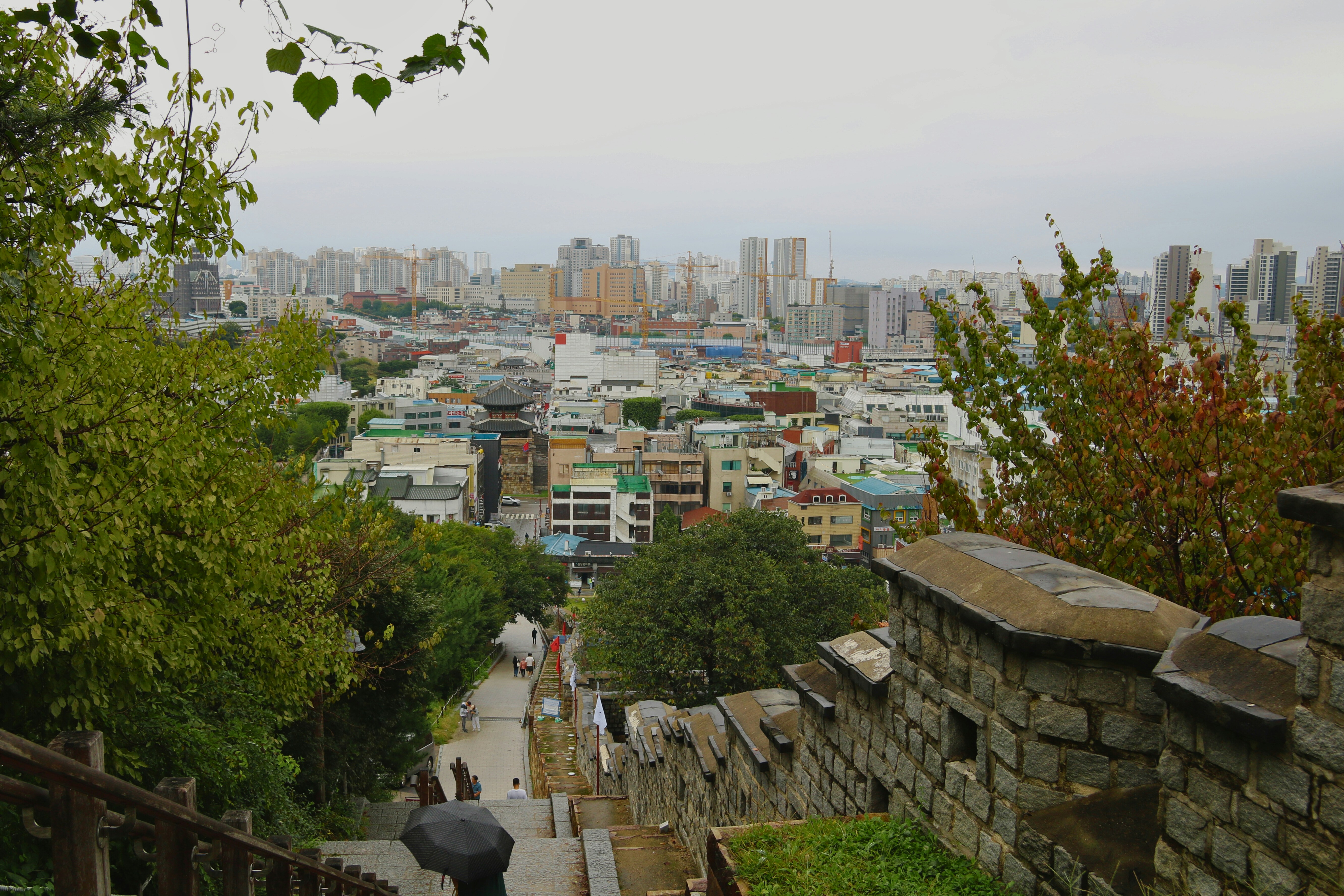 수원 점빼는 비용