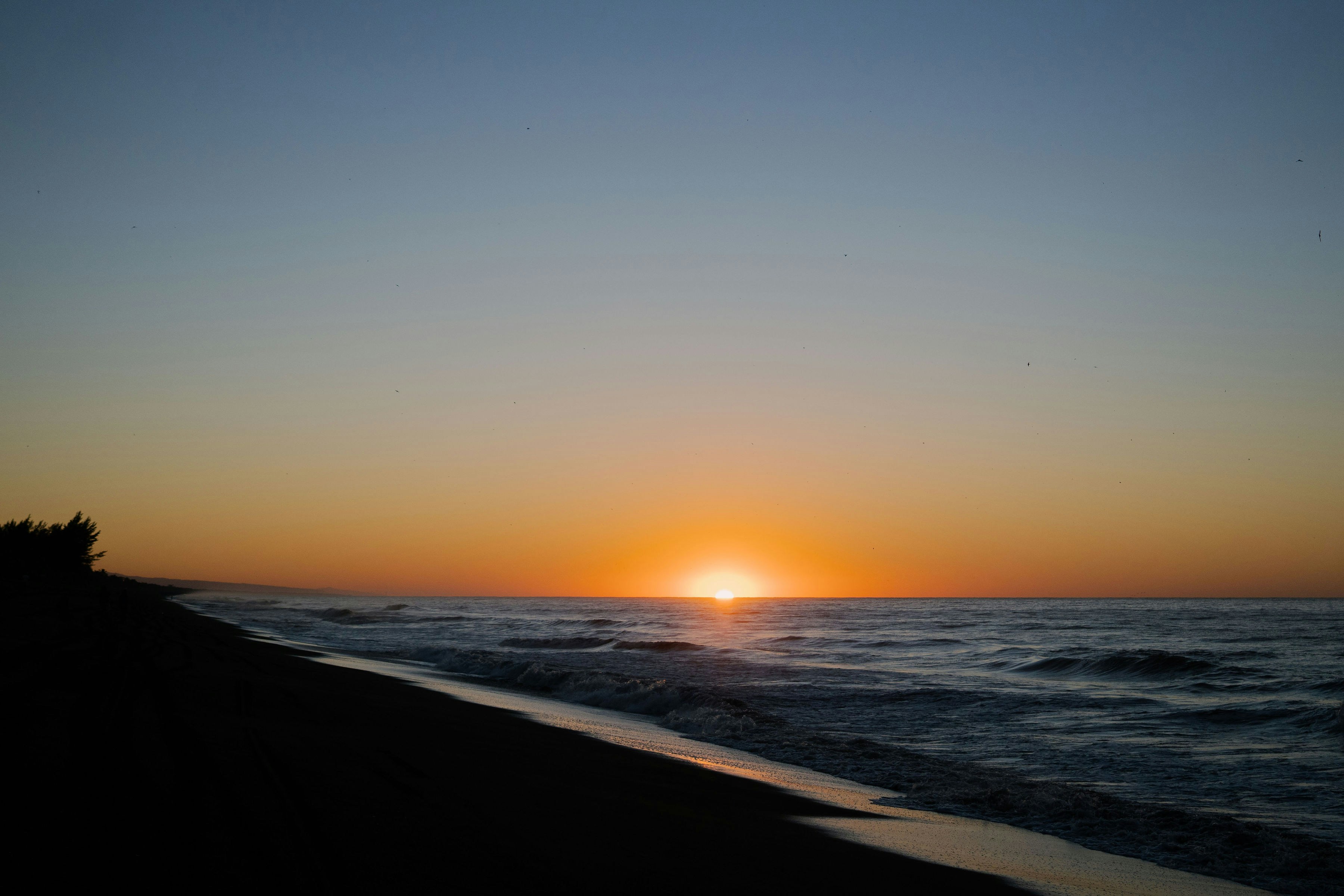 Photo by armando_p1cs