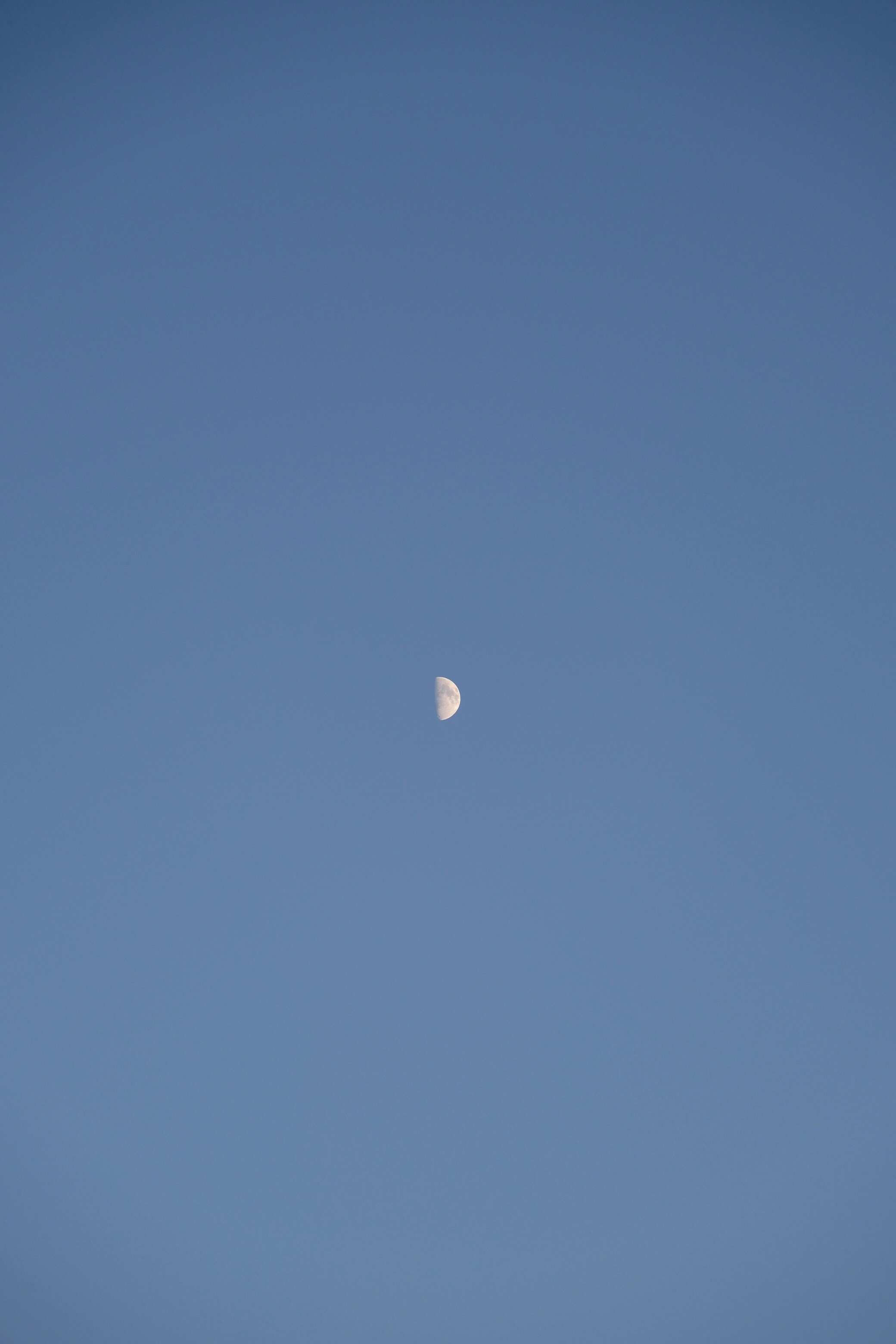 Photo by raulmermans