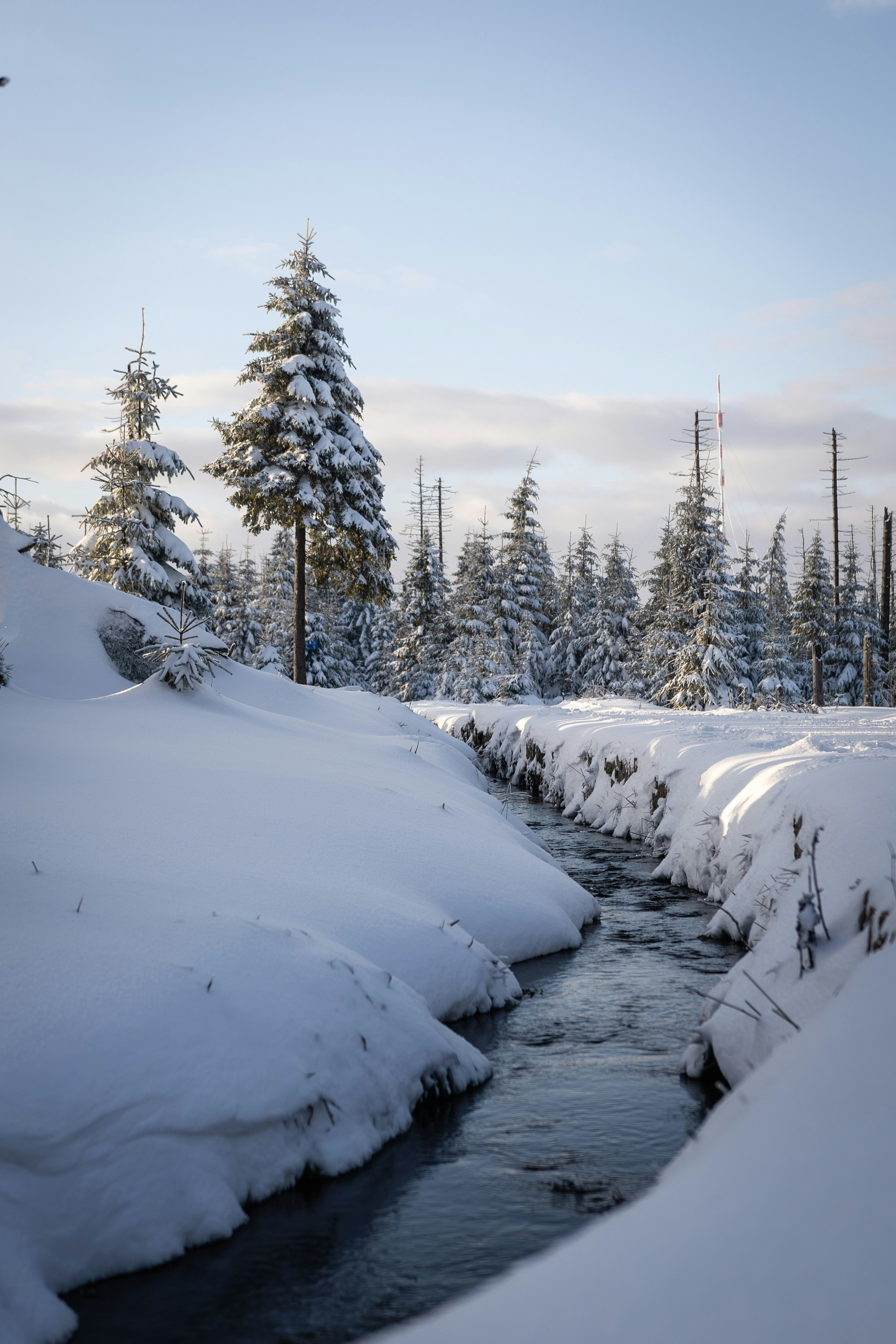 Photo by larsportjanow