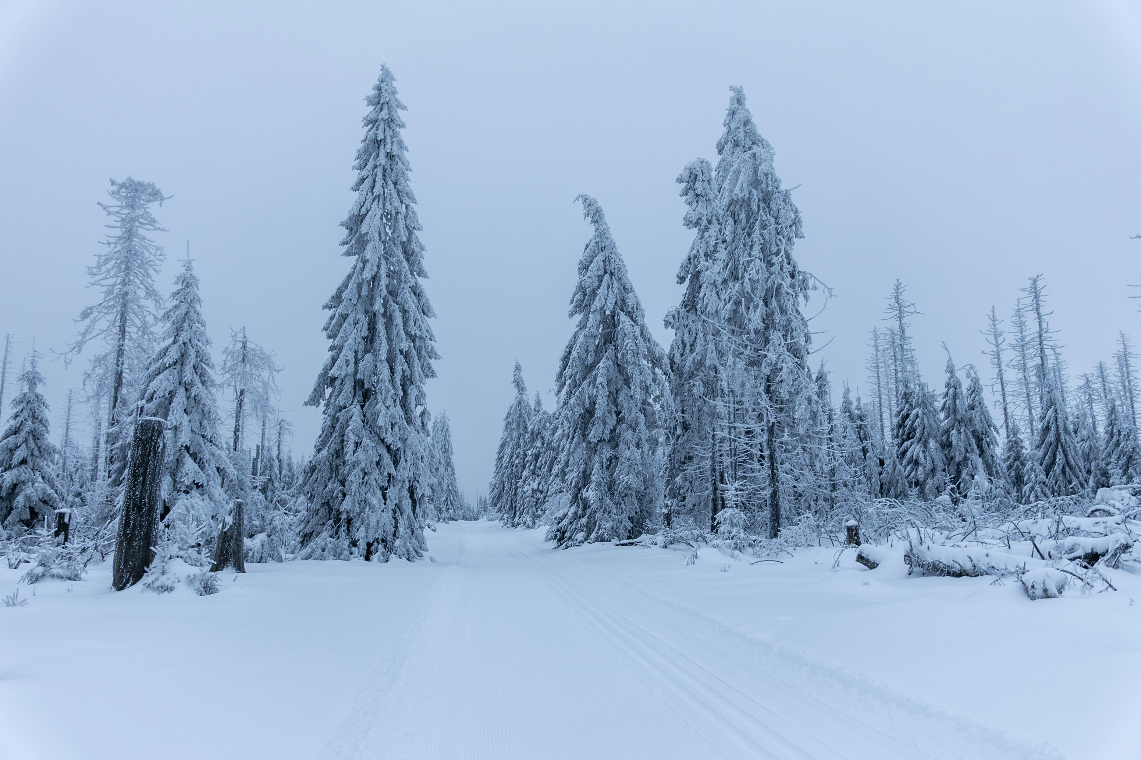 Photo by larsportjanow