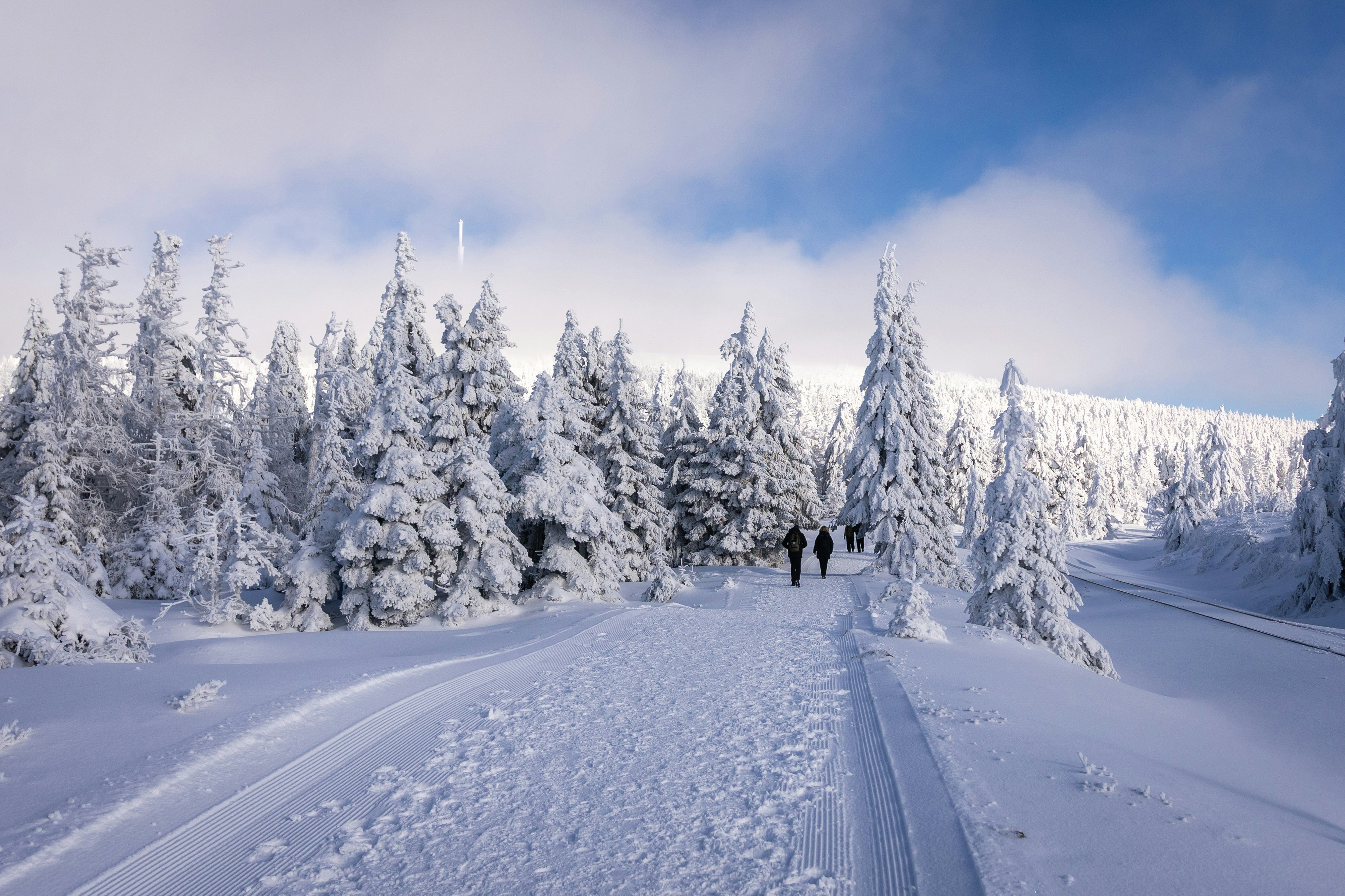 Photo by larsportjanow