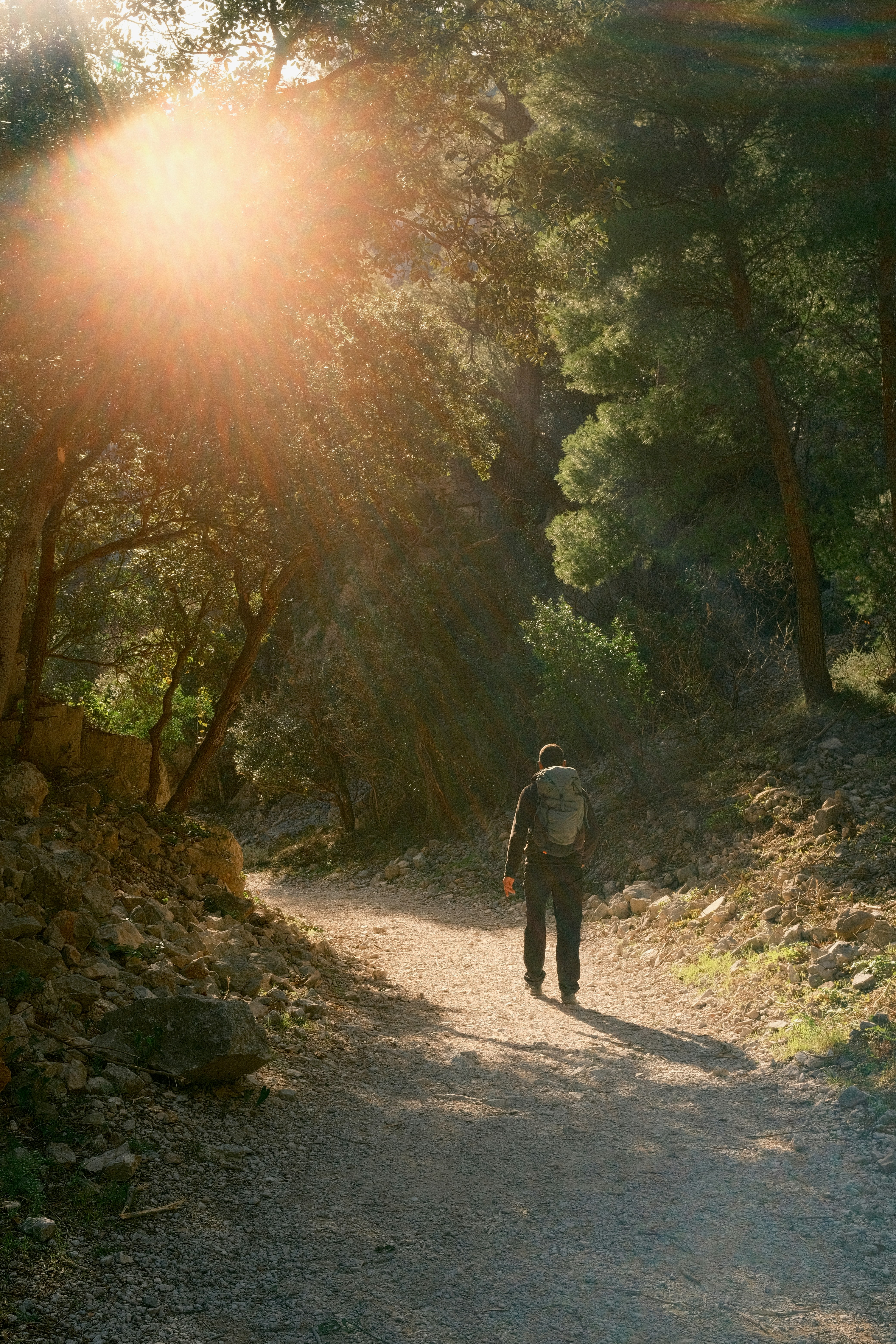 Photo by niklasjesper