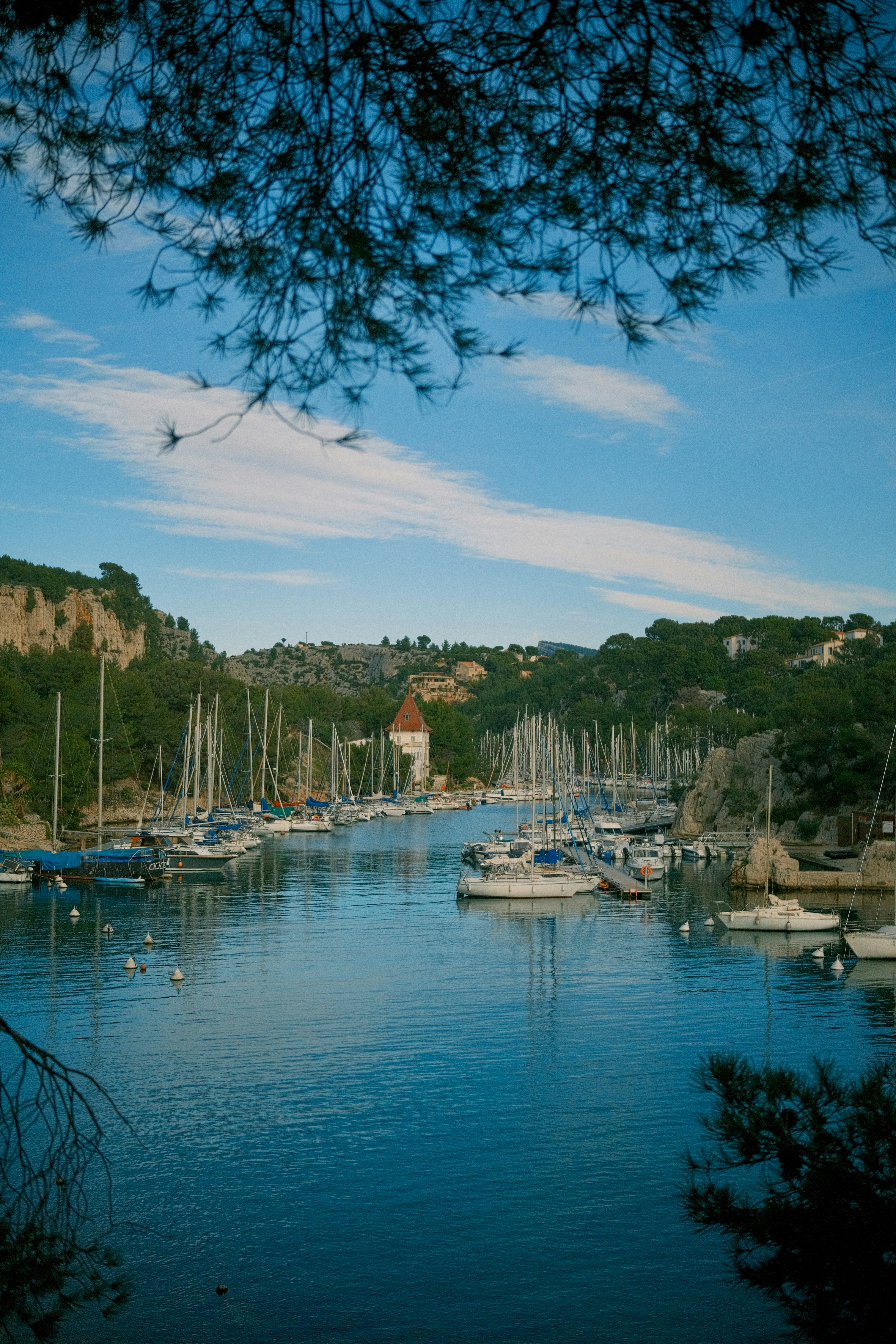 Barche a vela attraccavano in un calmo porto blu con colline verdi.
