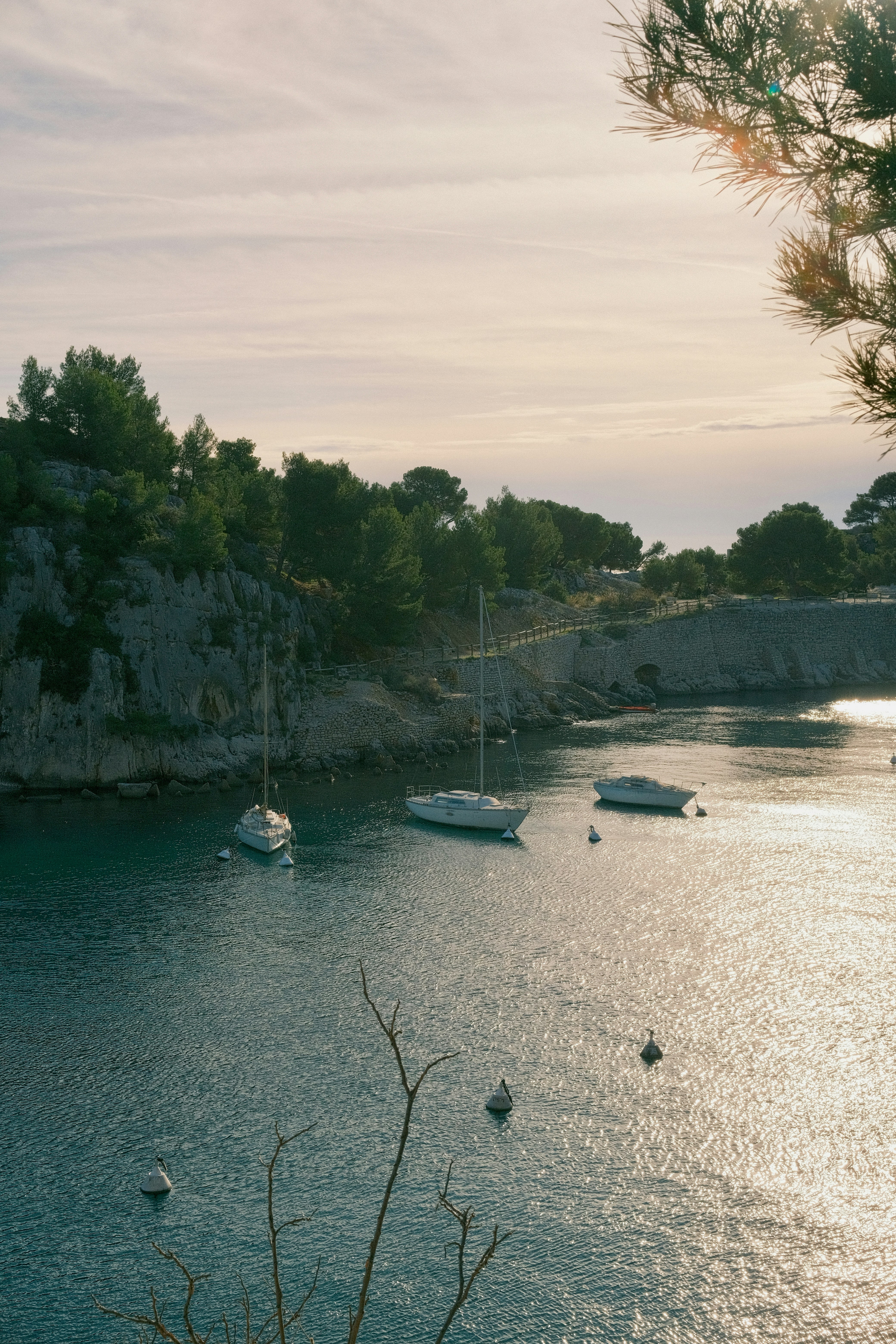 Barche a vela ancorate in una baia calma con coste rocciose.