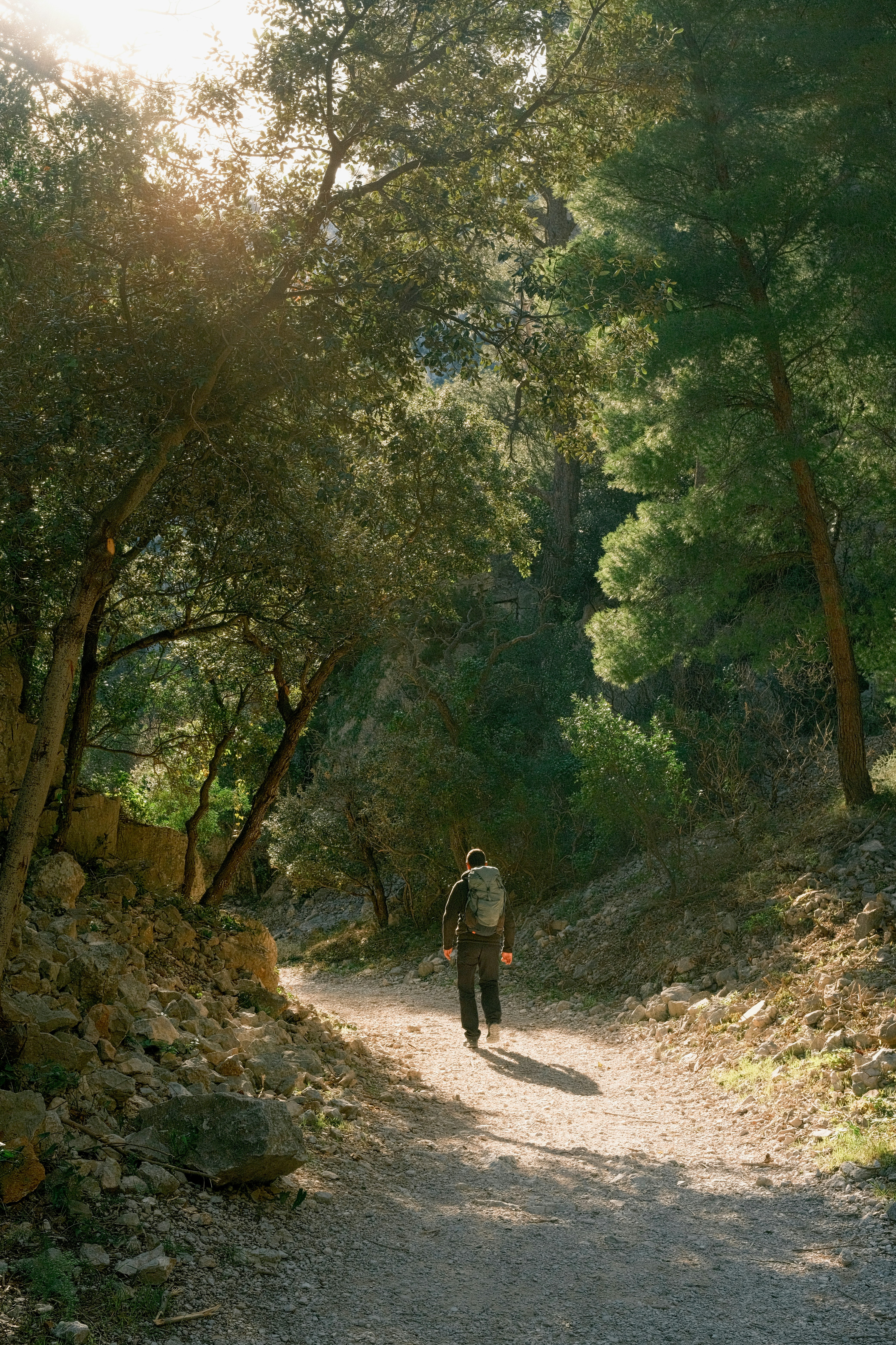 Una persona cammina su un sentiero di foresta illuminato dal sole.