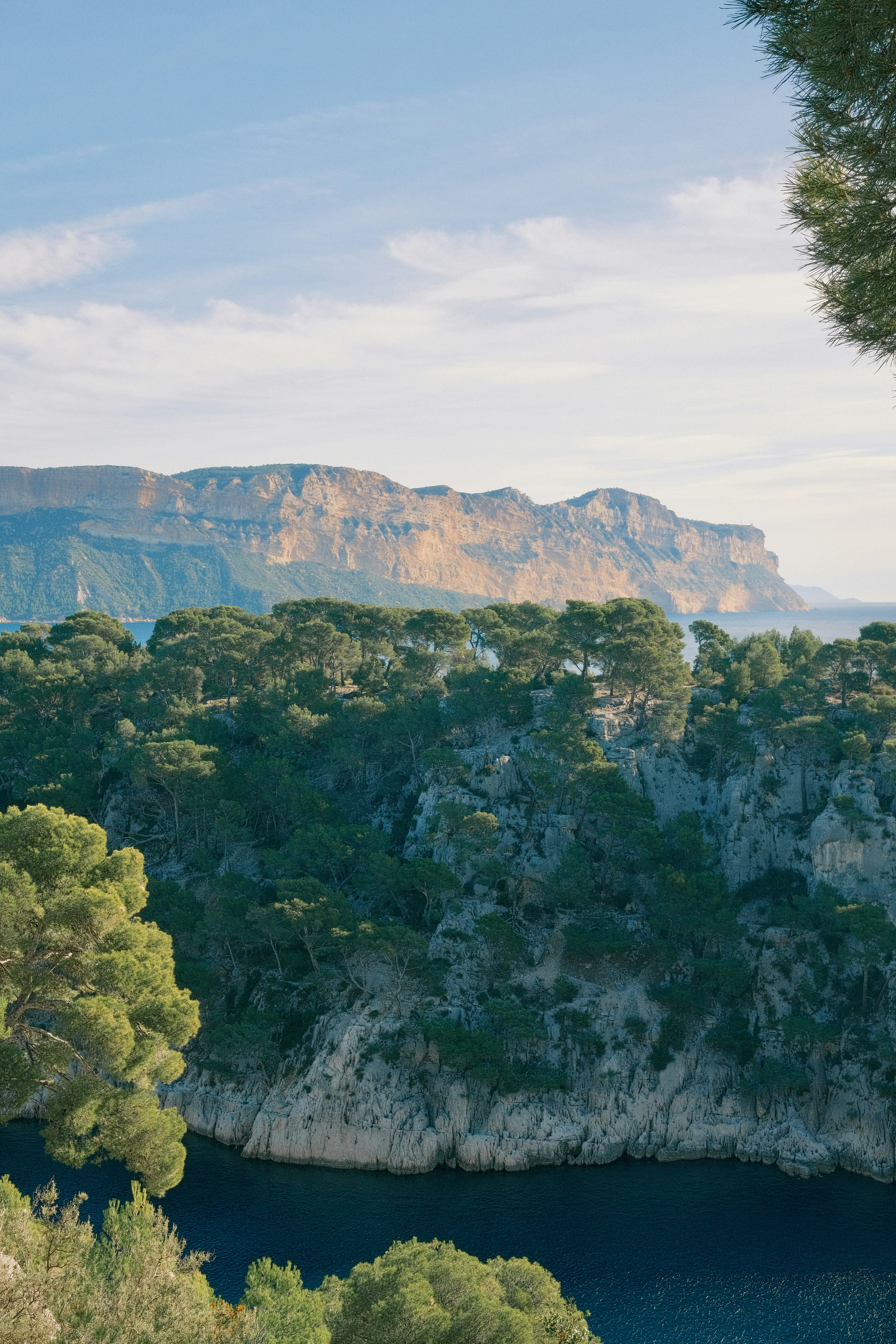 Photo by niklasjesper